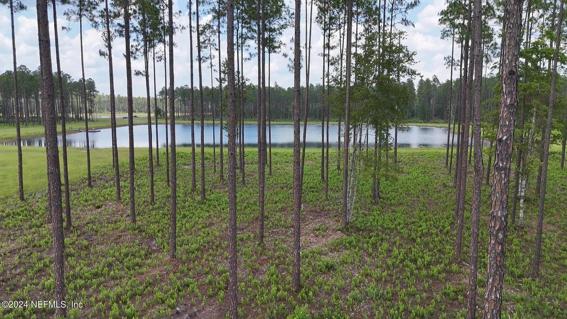Photo 3 of LOT 3 US HWY 301, Bryceville, FL 32009