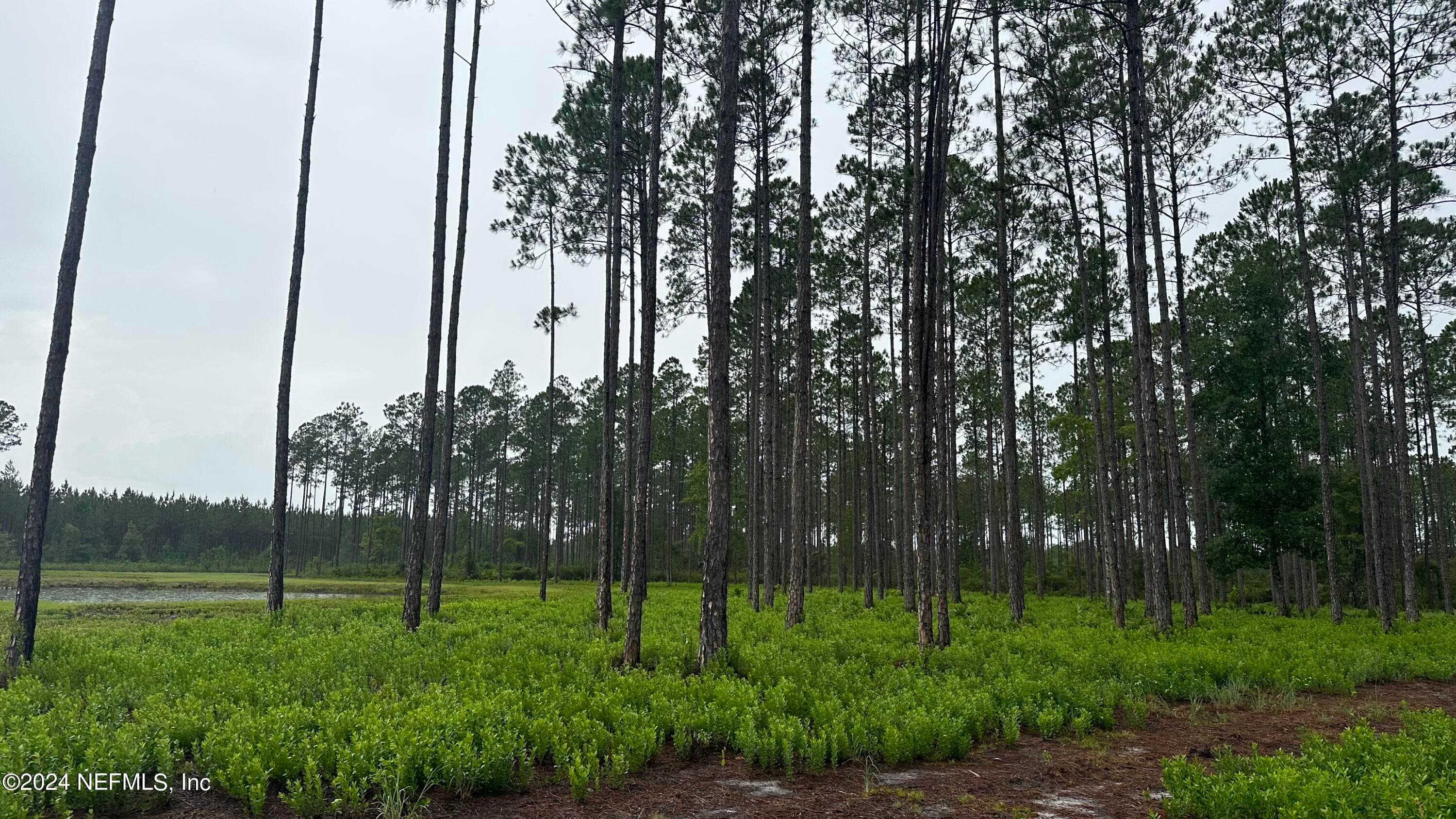 Photo 8 of LOT 5 NE US HWY 301, Jacksonville, FL 32234