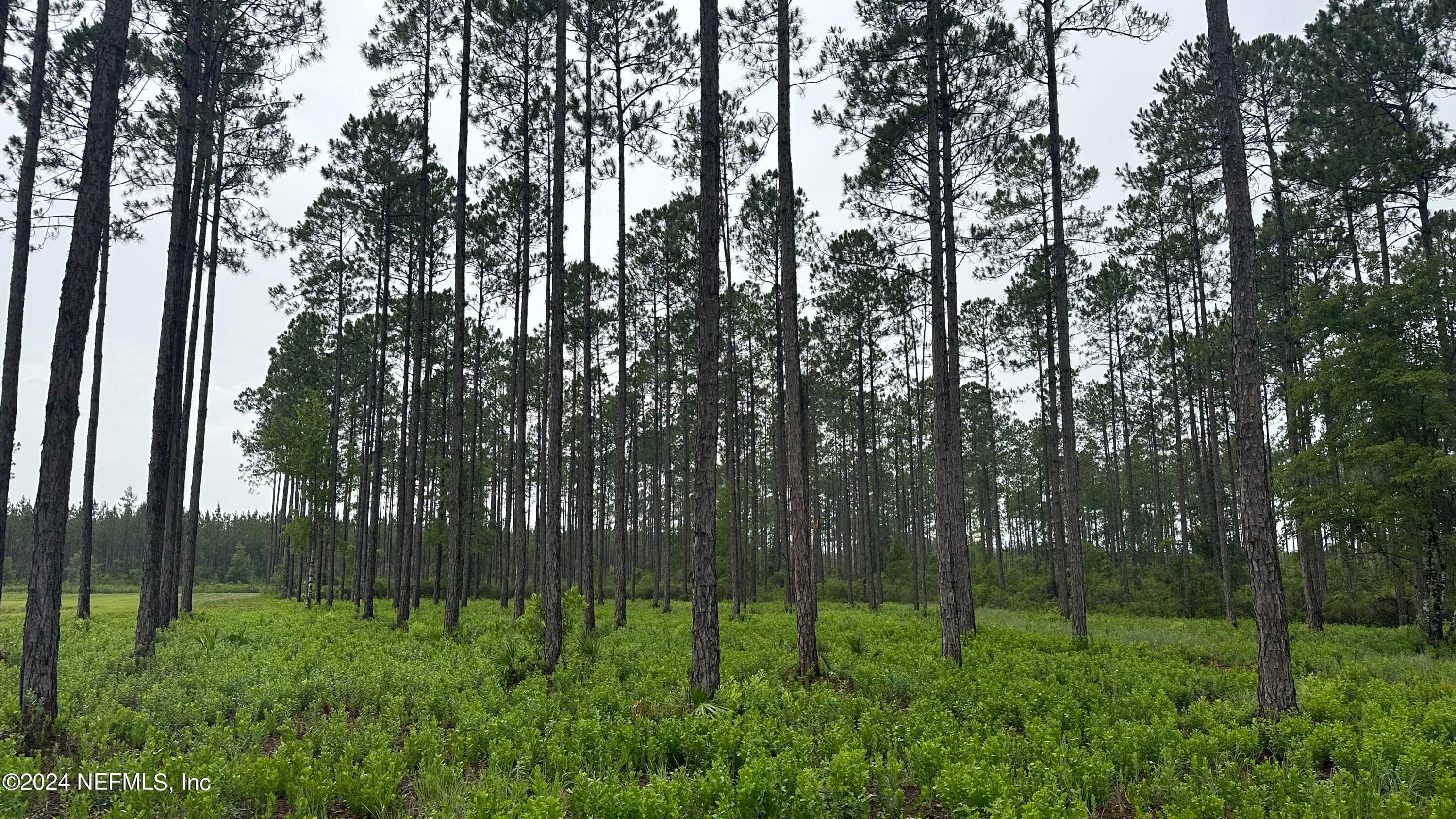Photo 9 of LOT 5 NE US HWY 301, Jacksonville, FL 32234