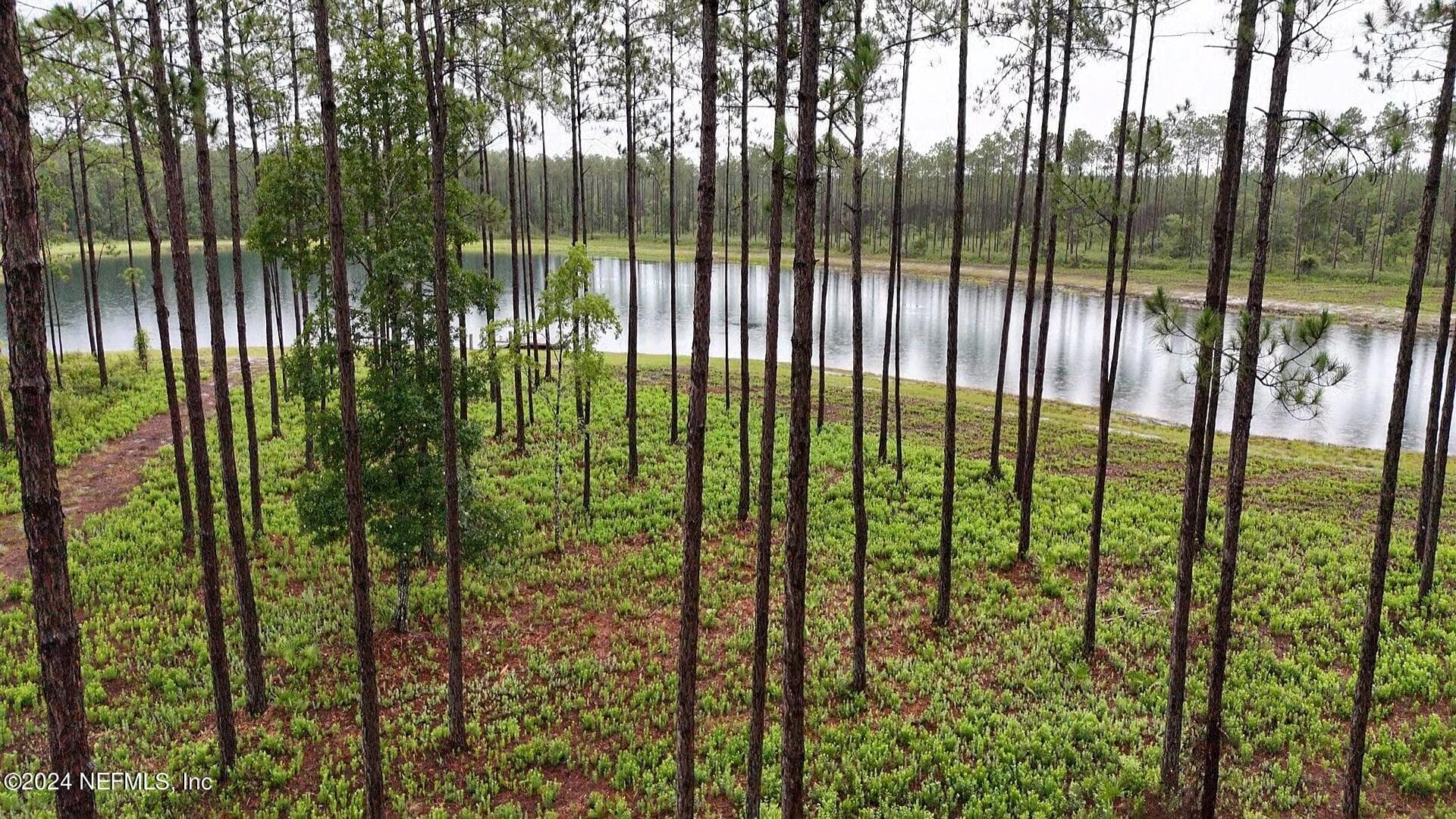 Photo 10 of LOT 5 NE US HWY 301, Jacksonville, FL 32234