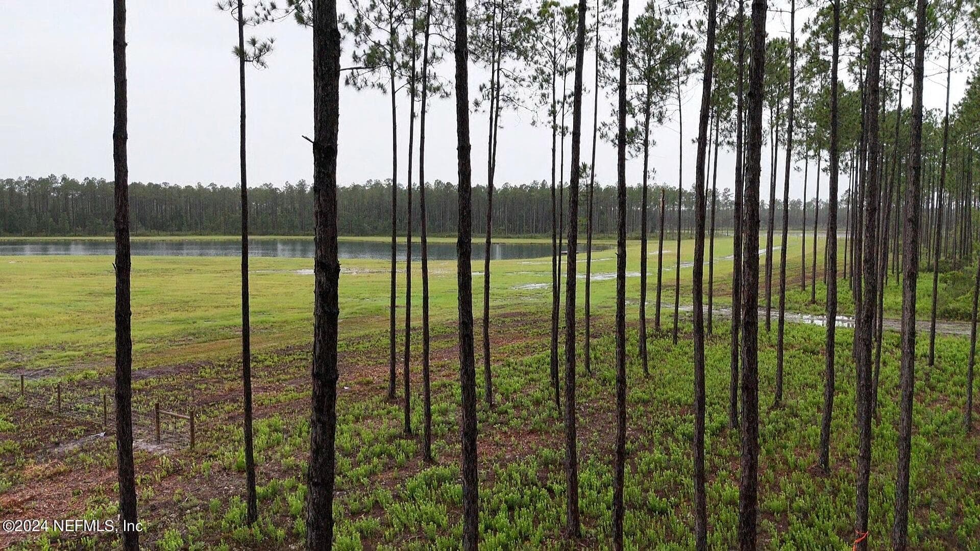 Photo 3 of LOT 4 US HWY 301, Jacksonville, FL 32011