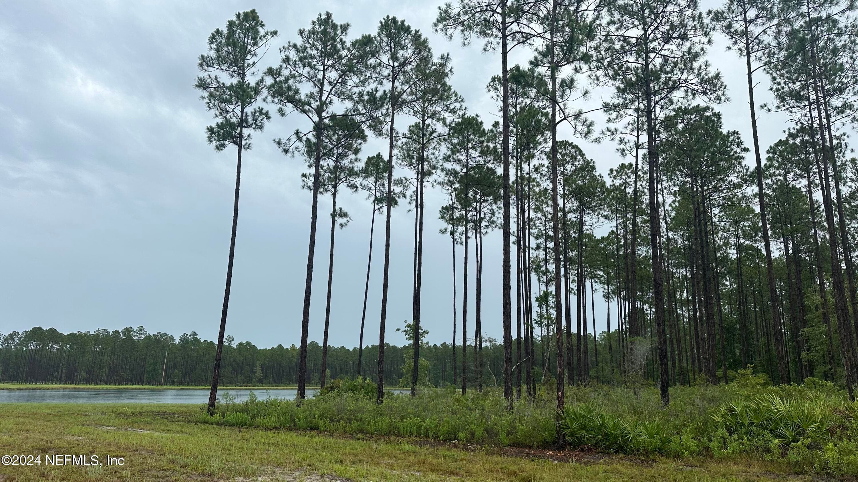 Photo 6 of LOT 4 US HWY 301, Jacksonville, FL 32011