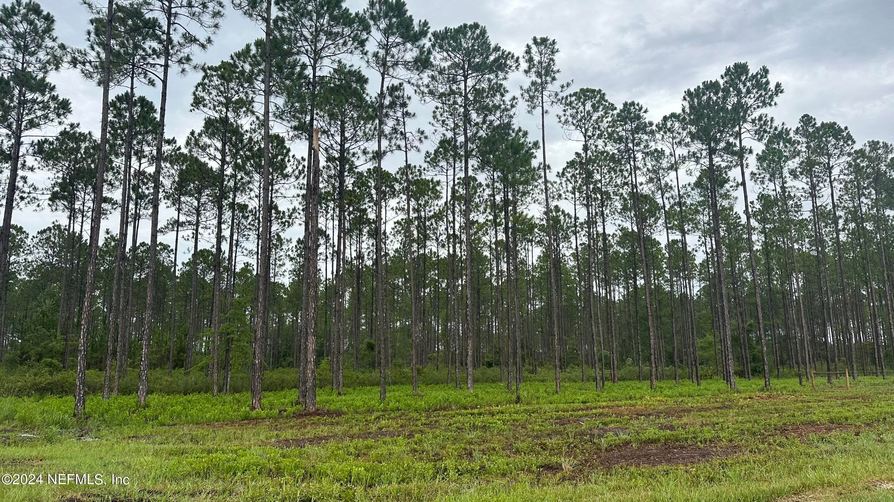 Photo 7 of LOT 4 US HWY 301, Jacksonville, FL 32011