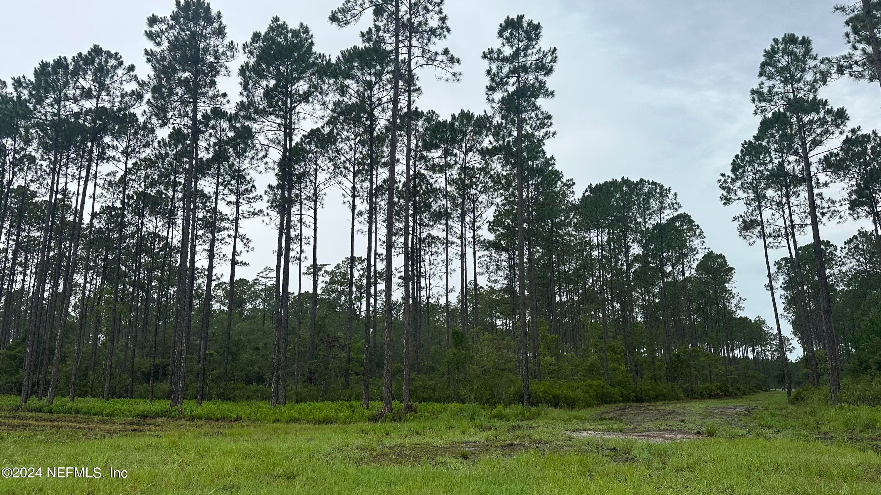 Photo 8 of LOT 4 US HWY 301, Jacksonville, FL 32011