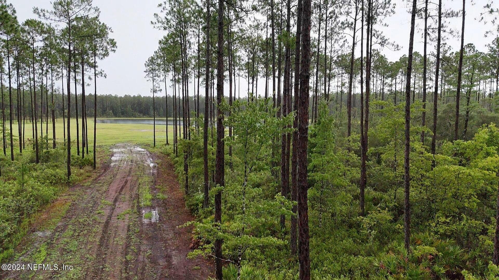 Photo 11 of LOT 4 US HWY 301, Jacksonville, FL 32011
