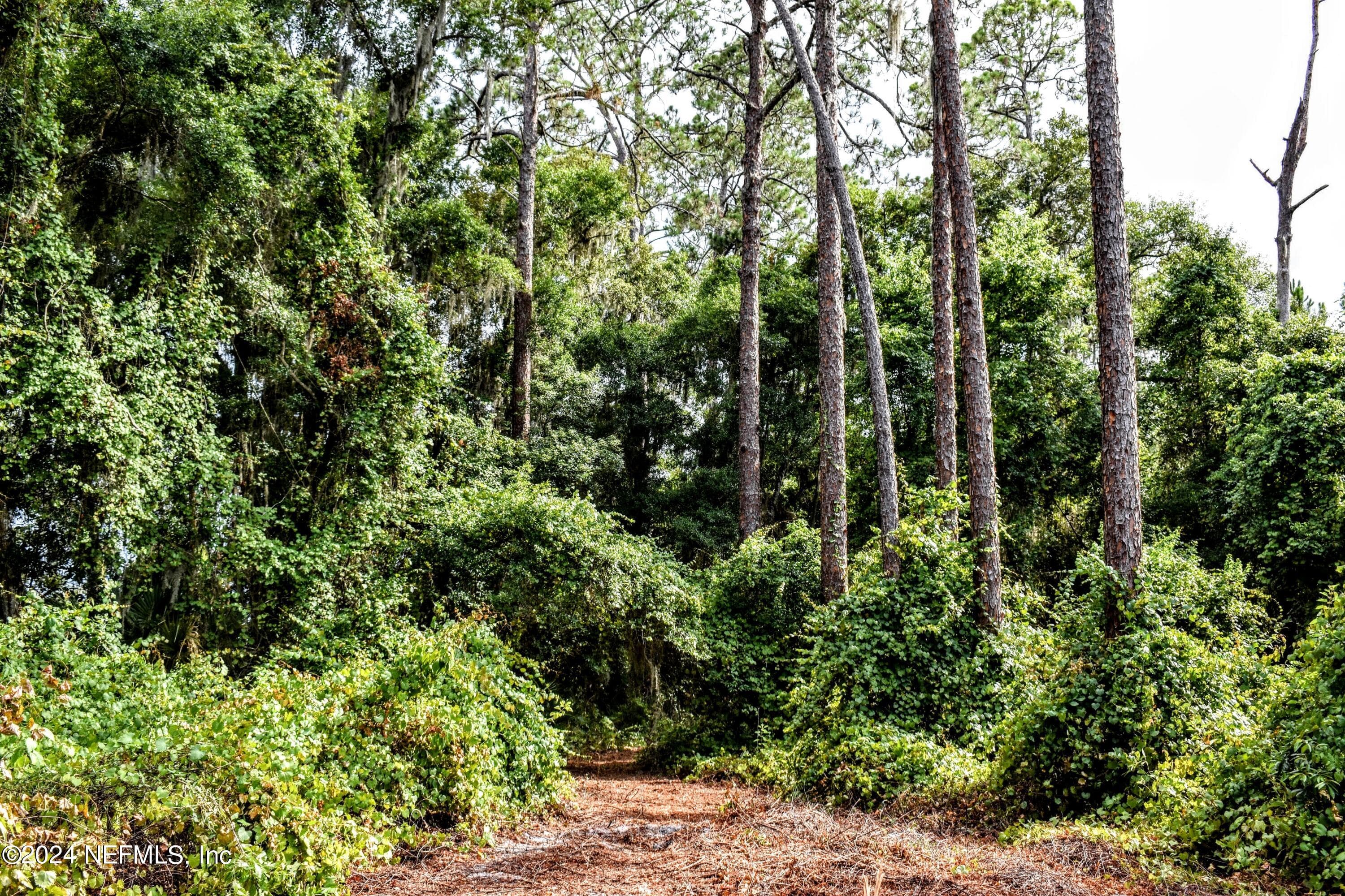 Photo 9 of 1221 S STATE RD 19, Palatka, FL 32177