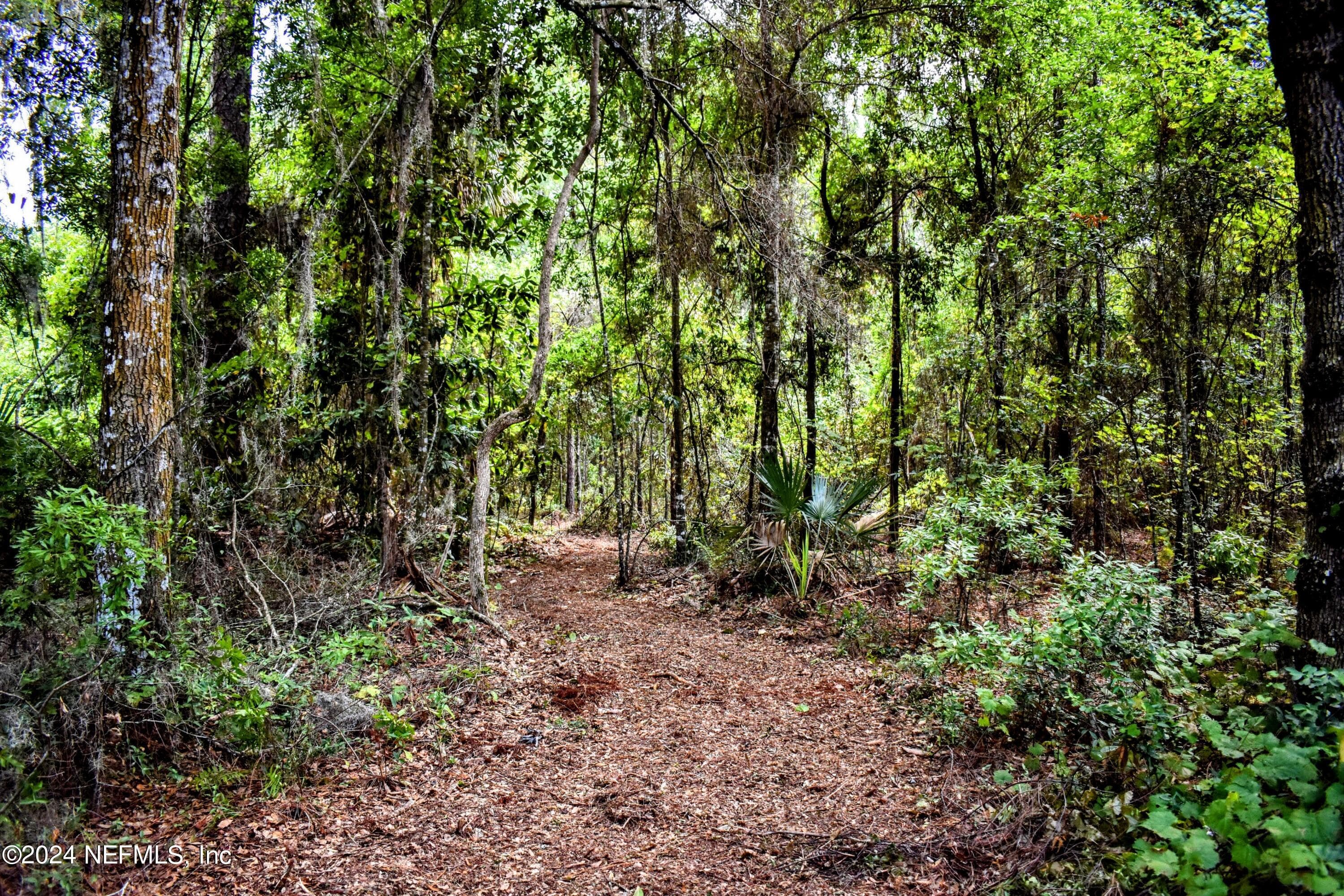 Photo 7 of 1221 S STATE RD 19, Palatka, FL 32177