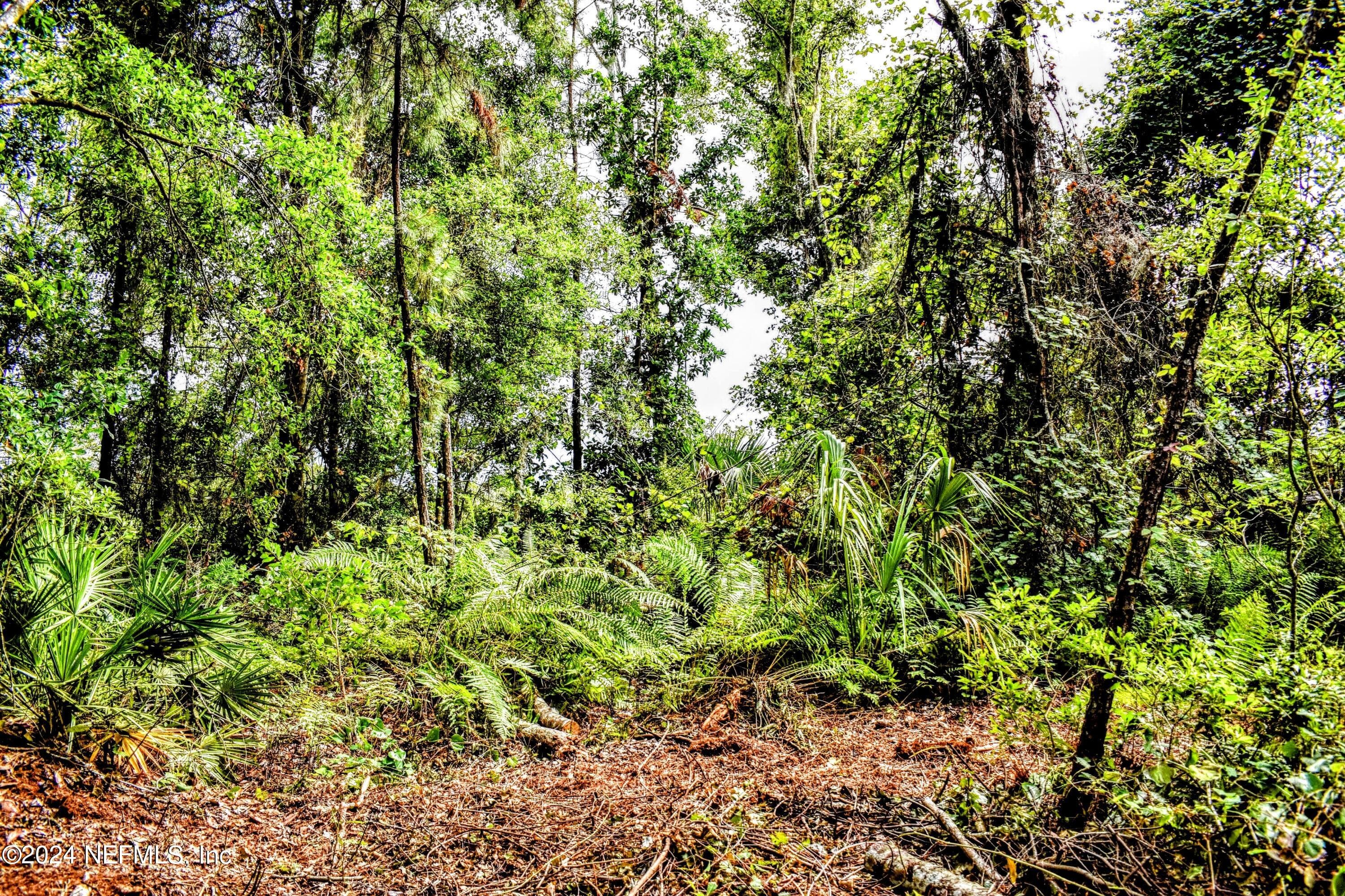 Photo 10 of 1221 S STATE RD 19, Palatka, FL 32177