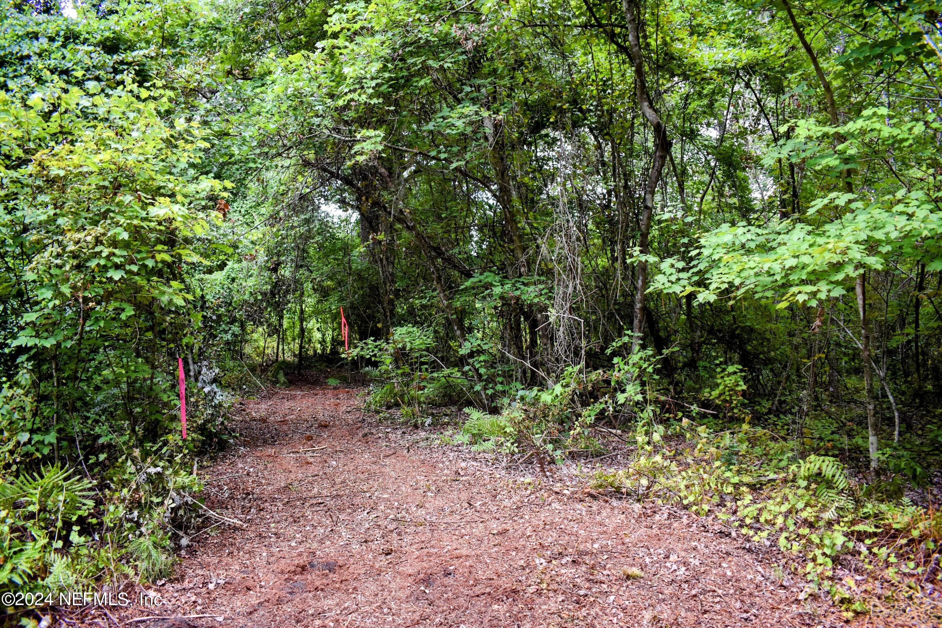 Photo 8 of 1221 S STATE RD 19, Palatka, FL 32177