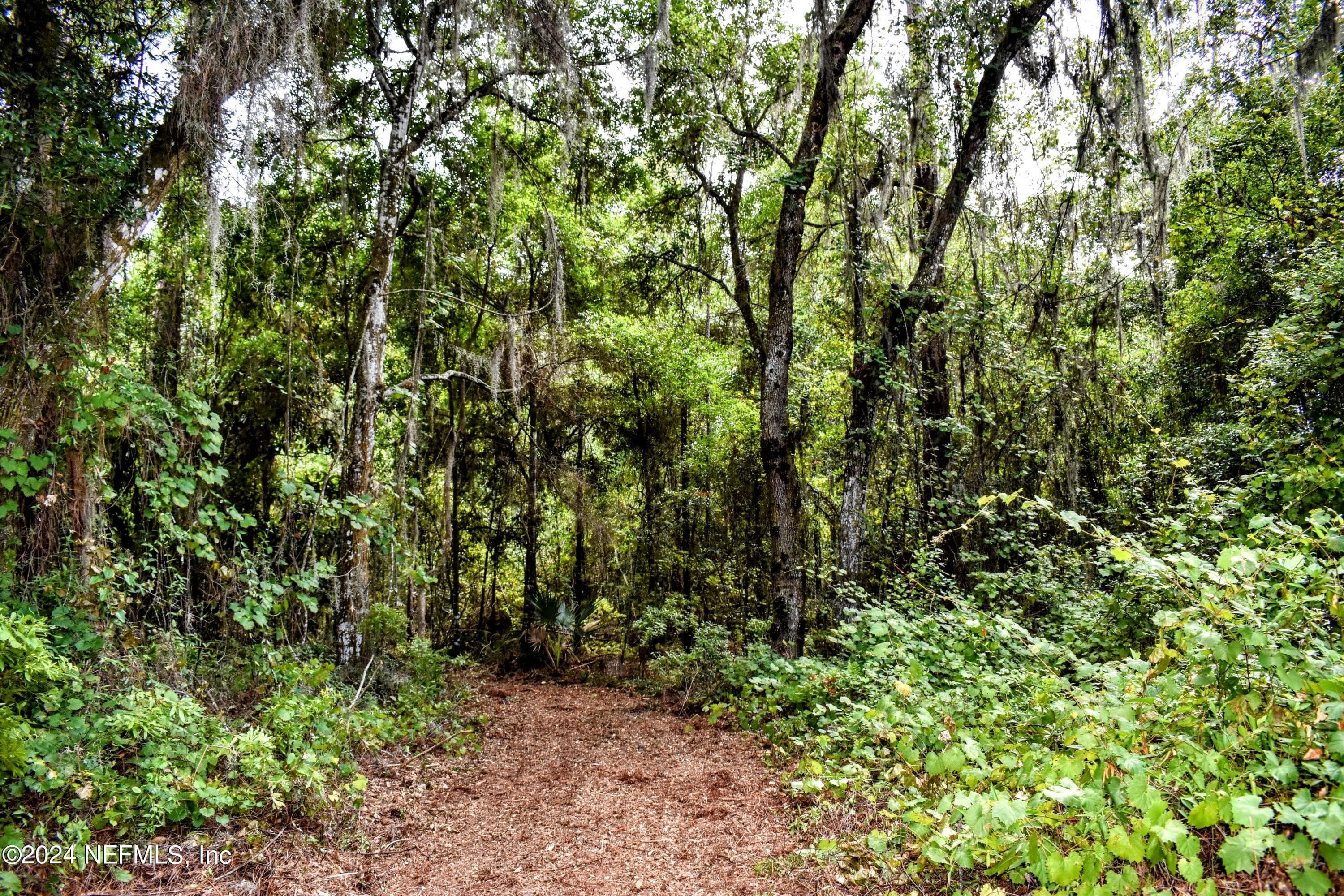 Photo 14 of 1221 S STATE RD 19, Palatka, FL 32177