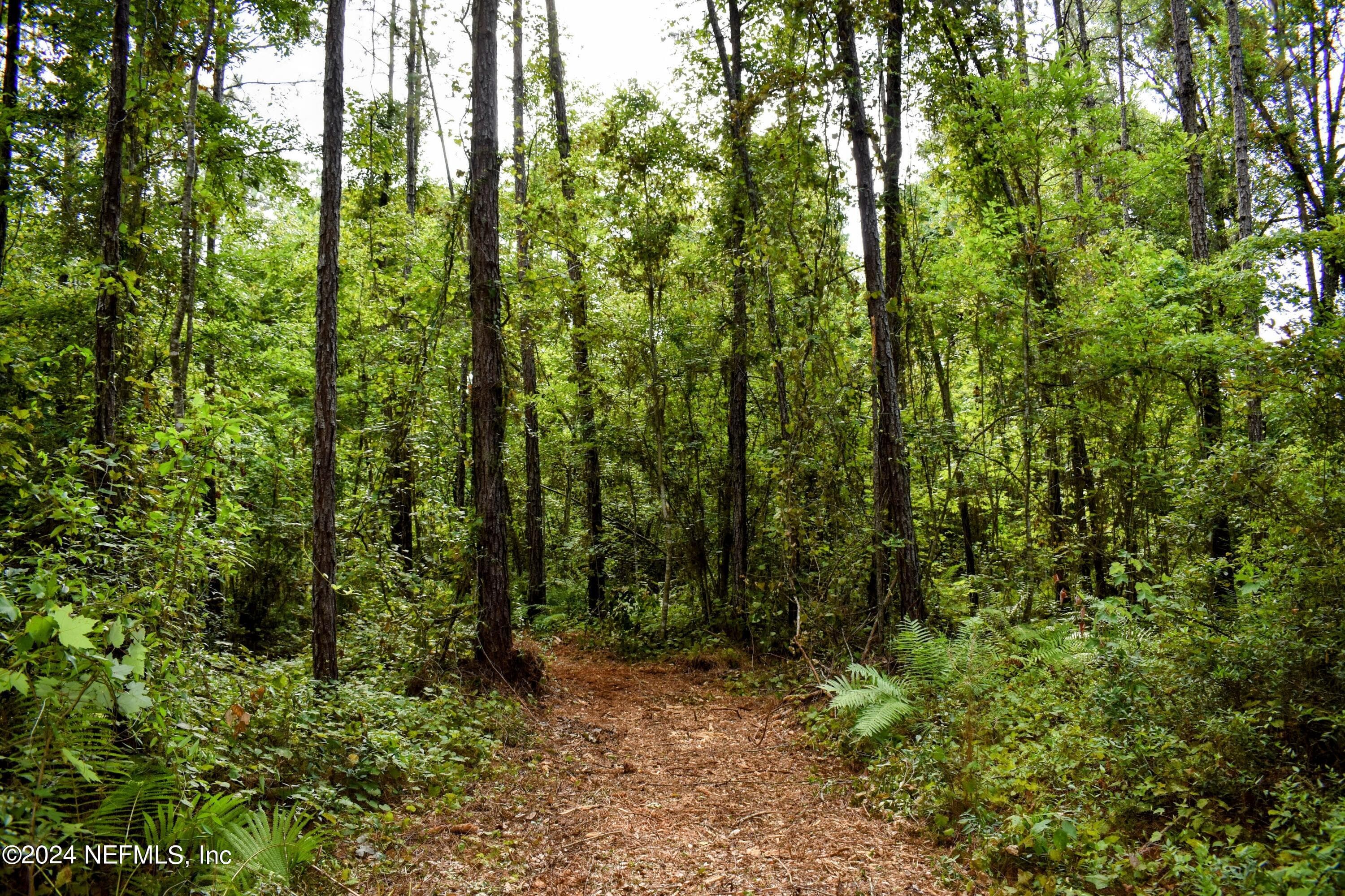 Photo 15 of 1221 S STATE RD 19, Palatka, FL 32177