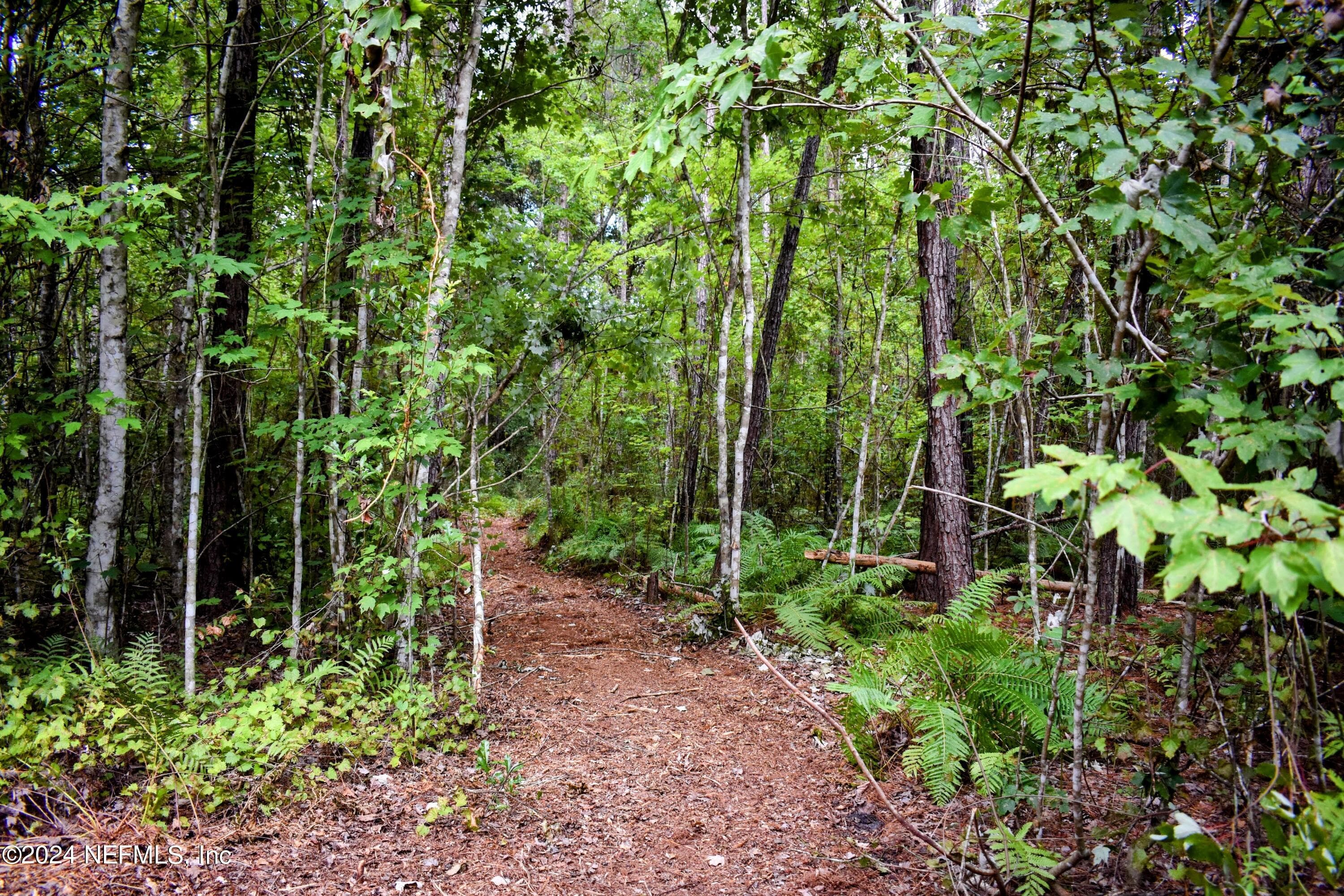 Photo 17 of 1221 S STATE RD 19, Palatka, FL 32177