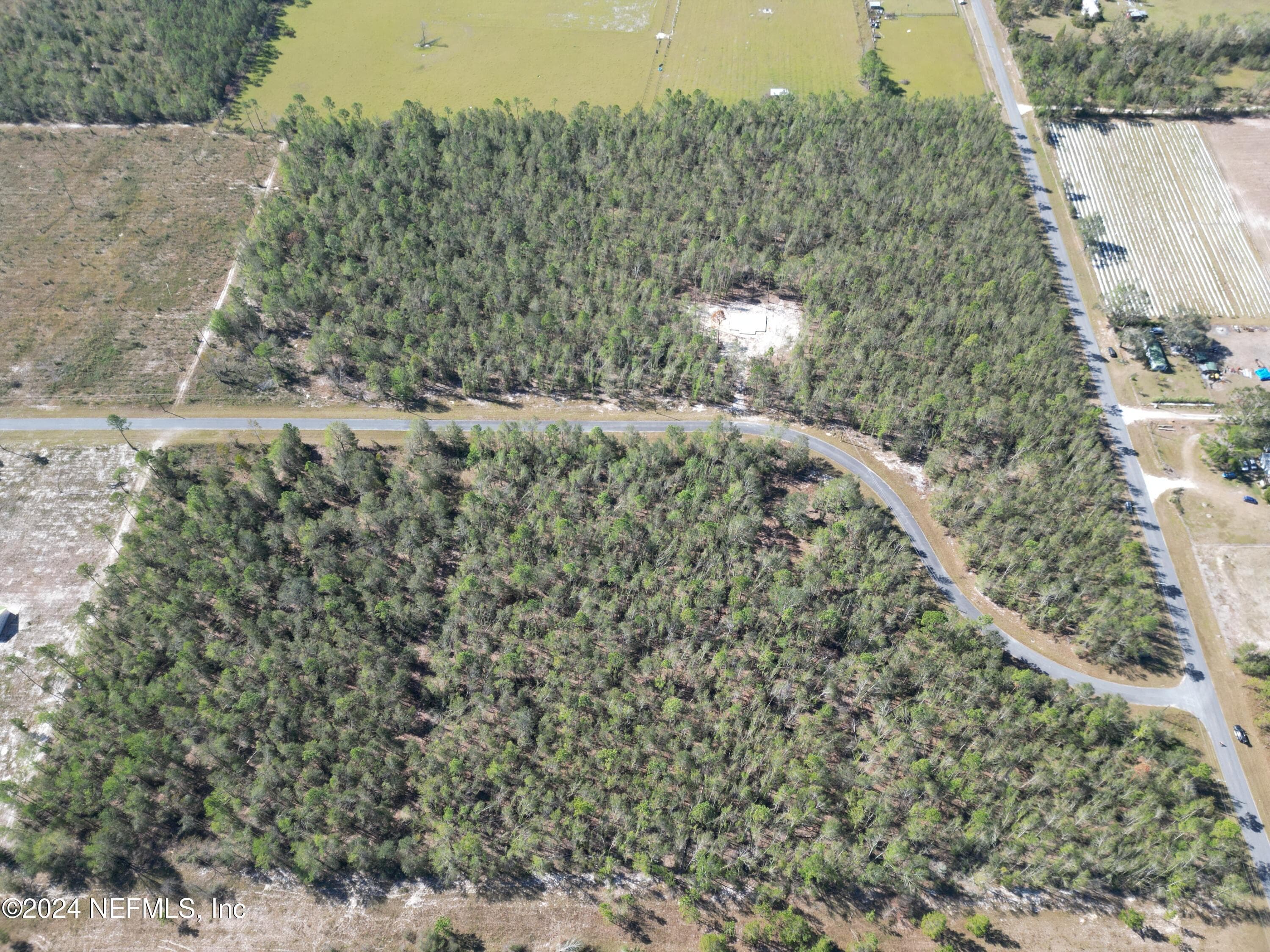 Photo 3 of TBD 4.72 ACRES 209TH Court, Live Oak, FL 32060