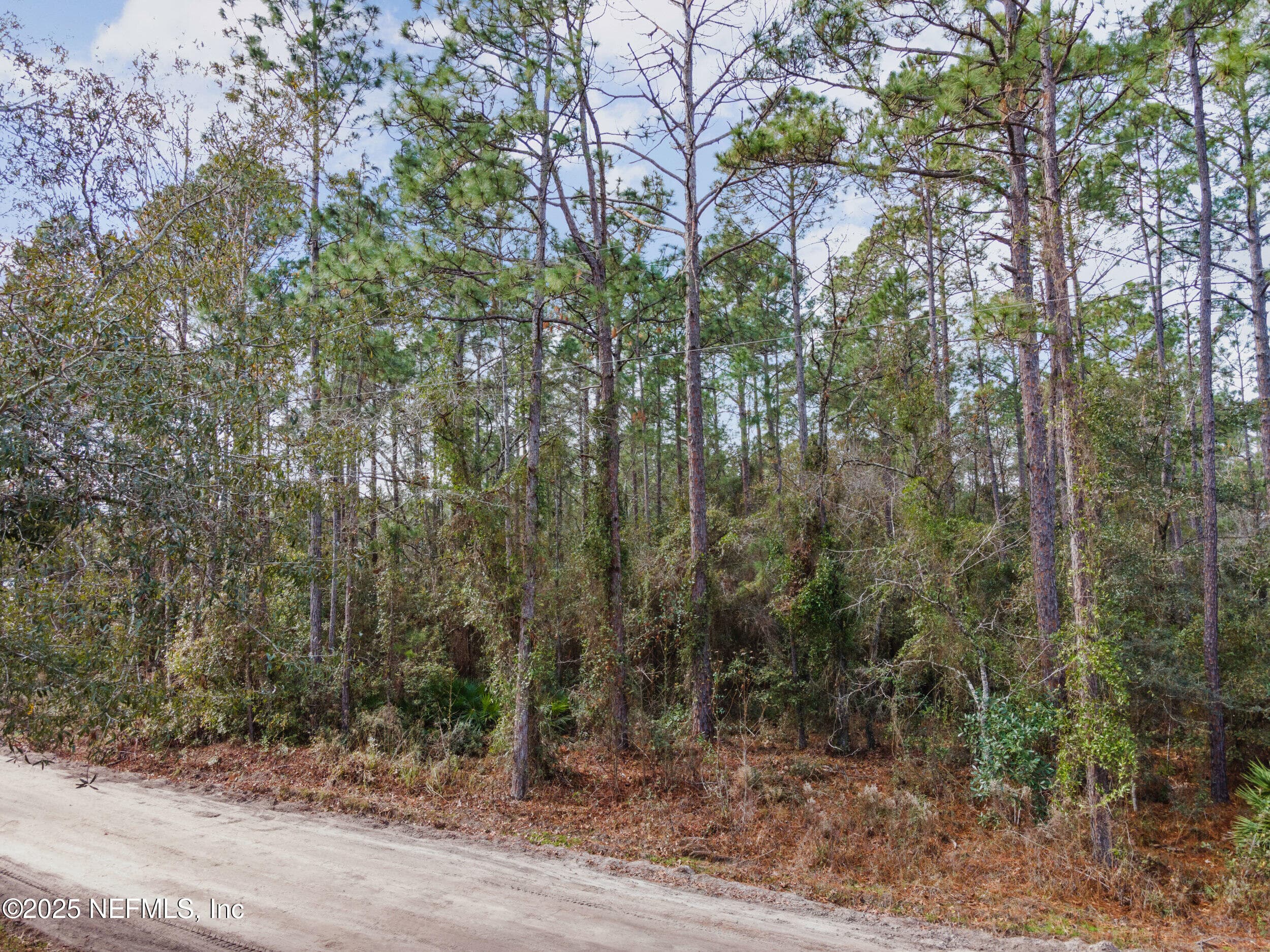 Photo 6 of LOT 37 FRANKLIN Road, Hilliard, FL 32046