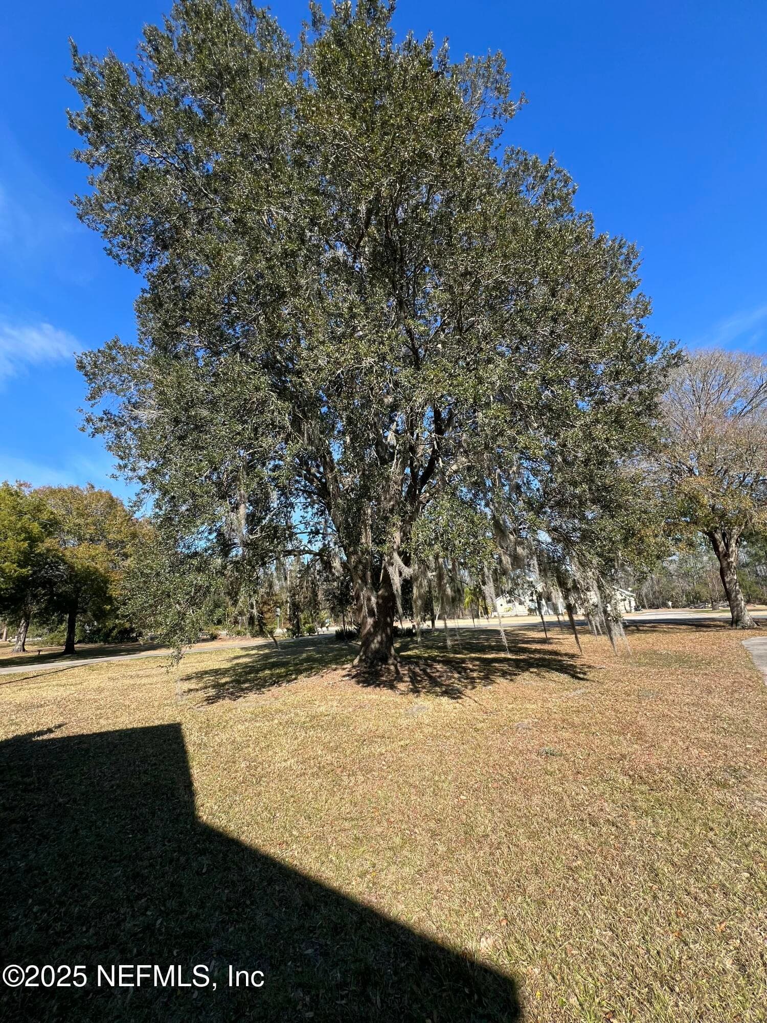 Photo 81 of 1825 RAIFORD Road, Starke, FL 32091