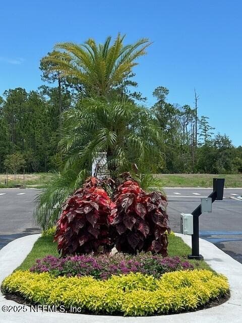 Photo 18 of 17 MULBERRY Road, Palm Coast, FL 32164