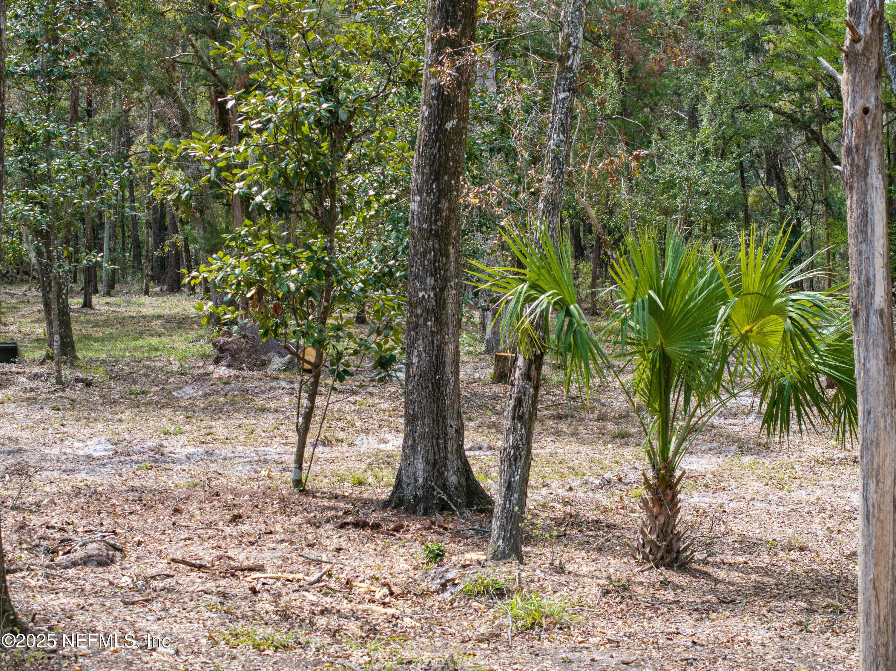 Photo 69 of 0 65TH PLACE A, Branford, FL 32008