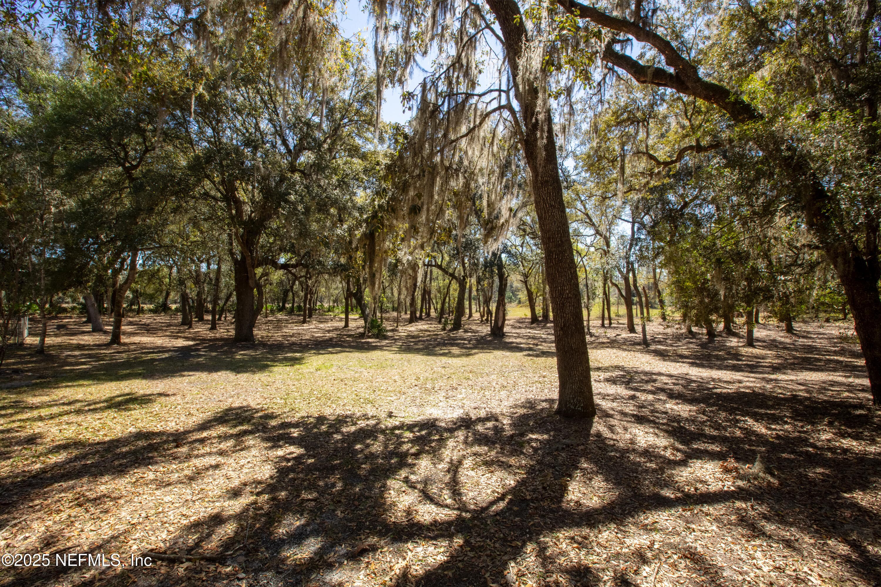 Treed Private Lot — 163 BOOTS Road, Melrose, FL 32666