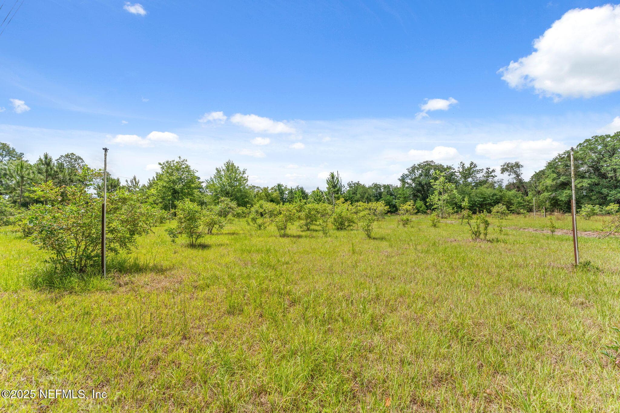 Photo 5 of 2995 THUNDER Road, Middleburg, FL 32068