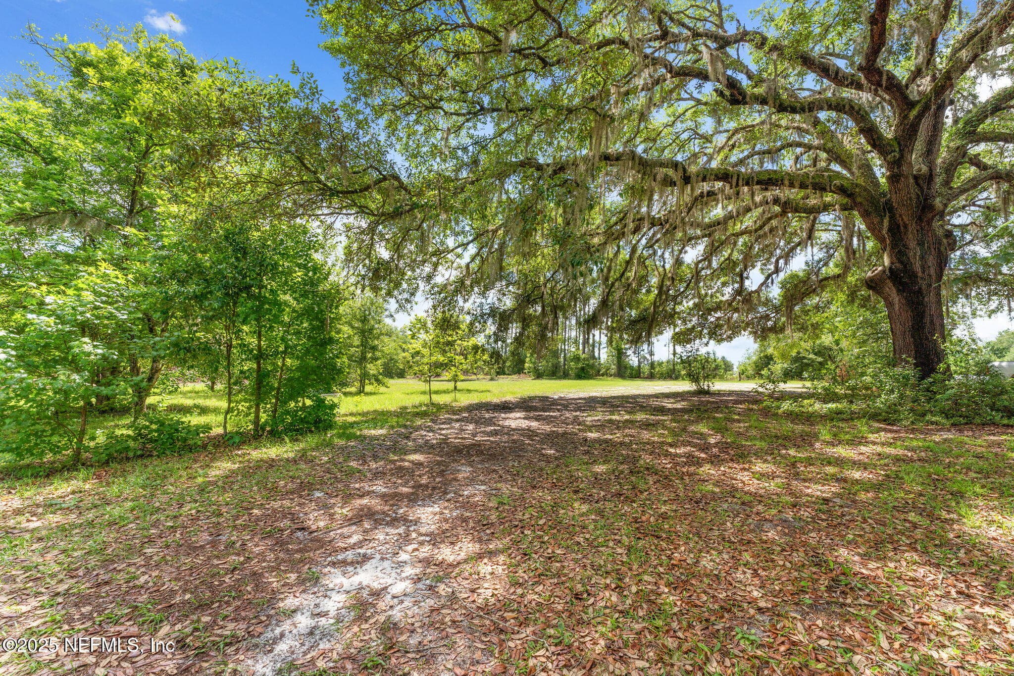 Photo 23 of 2995 THUNDER Road, Middleburg, FL 32068