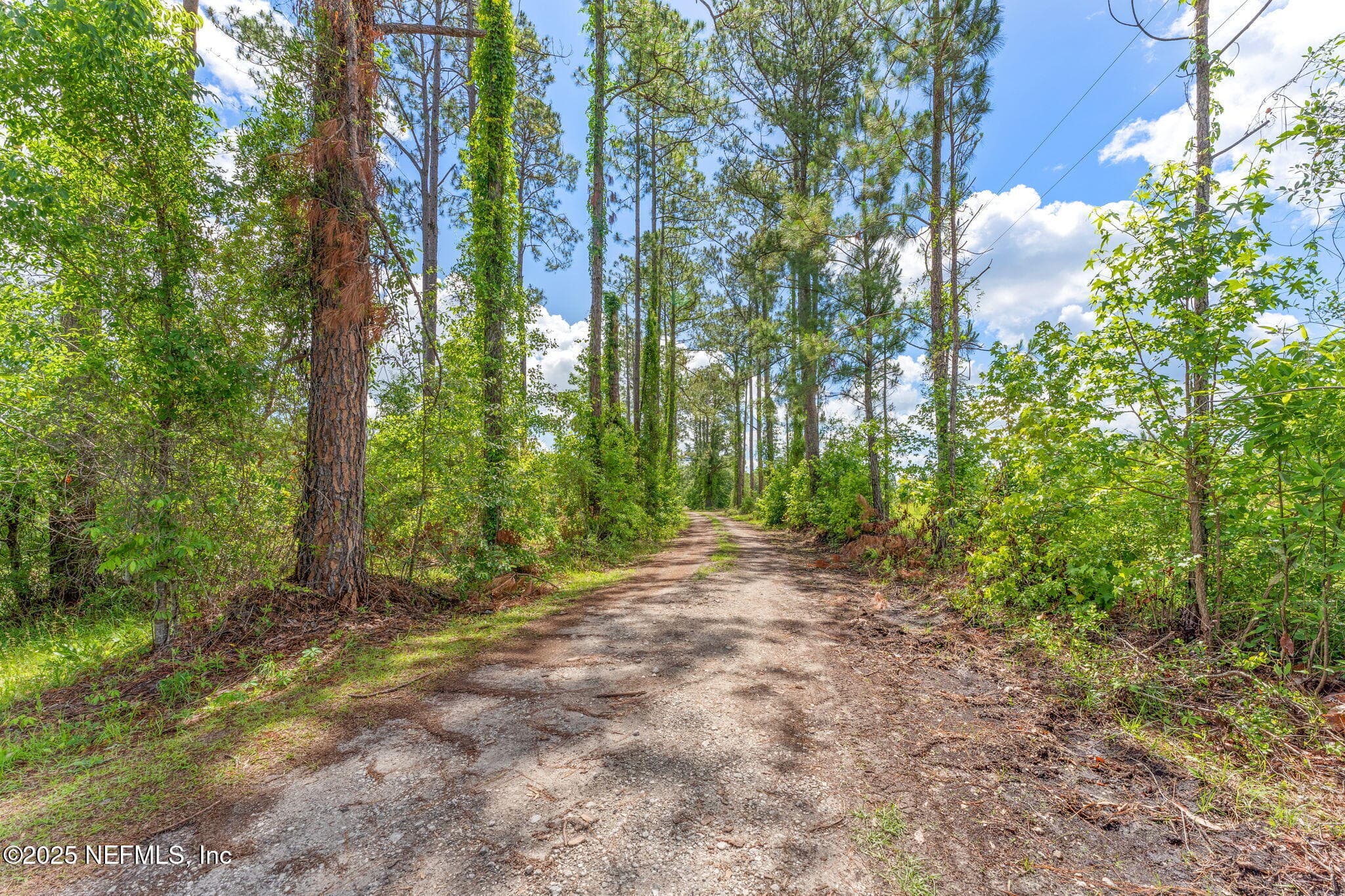 Photo 6 of 2995 THUNDER Road, Middleburg, FL 32068