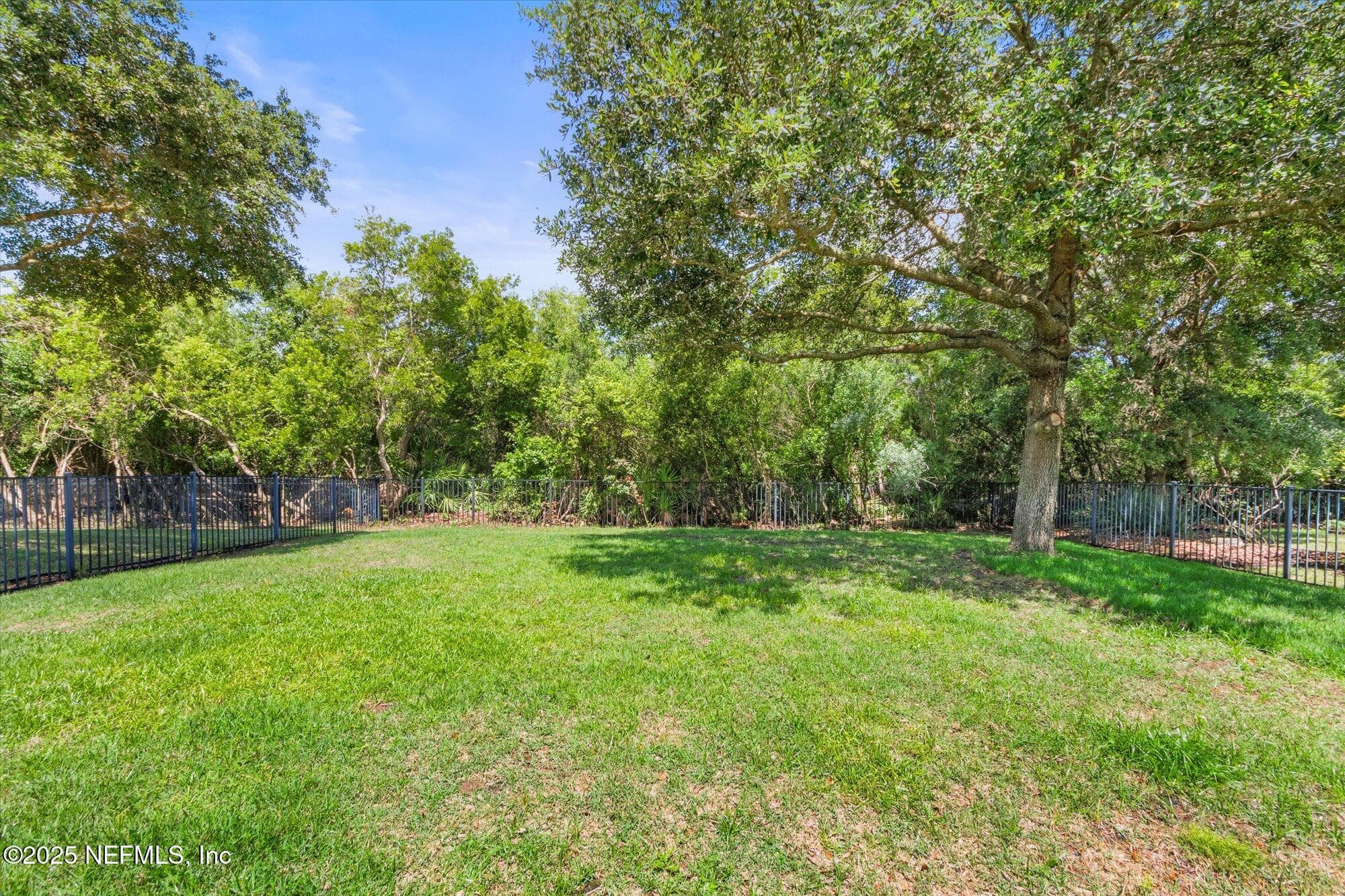 Backyard — 153 HAMMOCKS LANDING Drive, Ponte Vedra, FL 32081