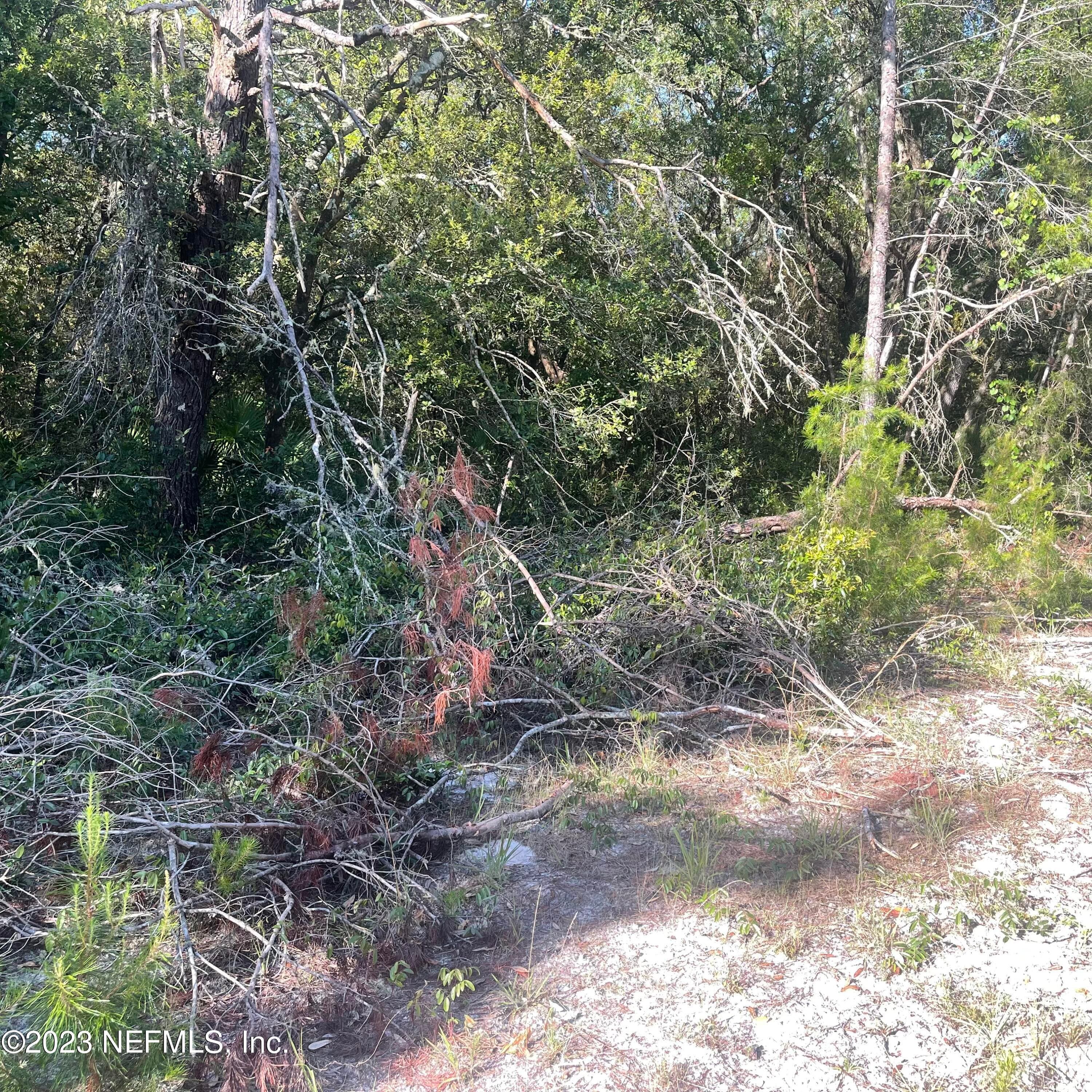 Photo 4 of 117 WAITES Drive, Florahome, FL 32140