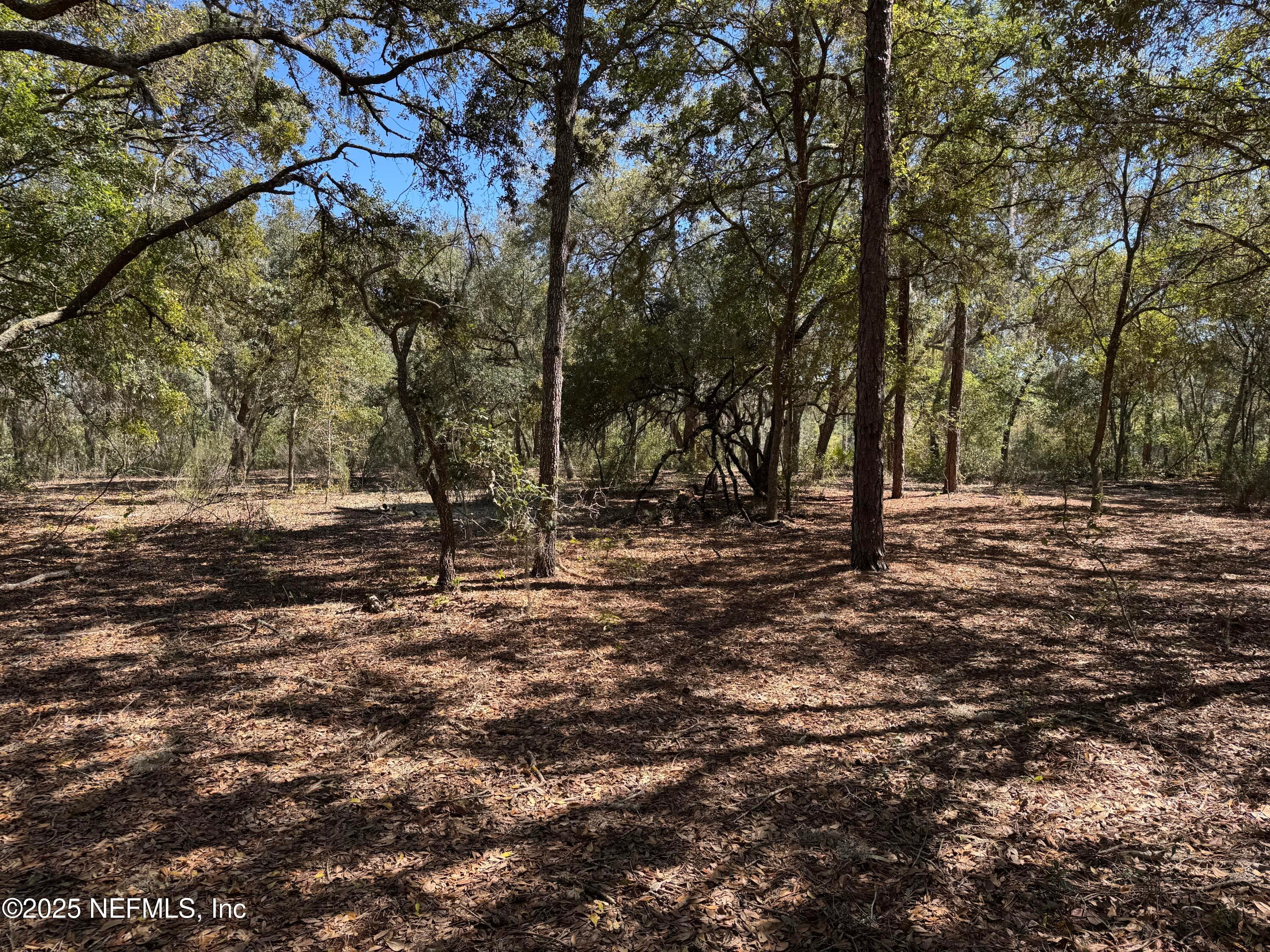 Photo 6 of 1481 STATE ROAD 20, Interlachen, FL 32148