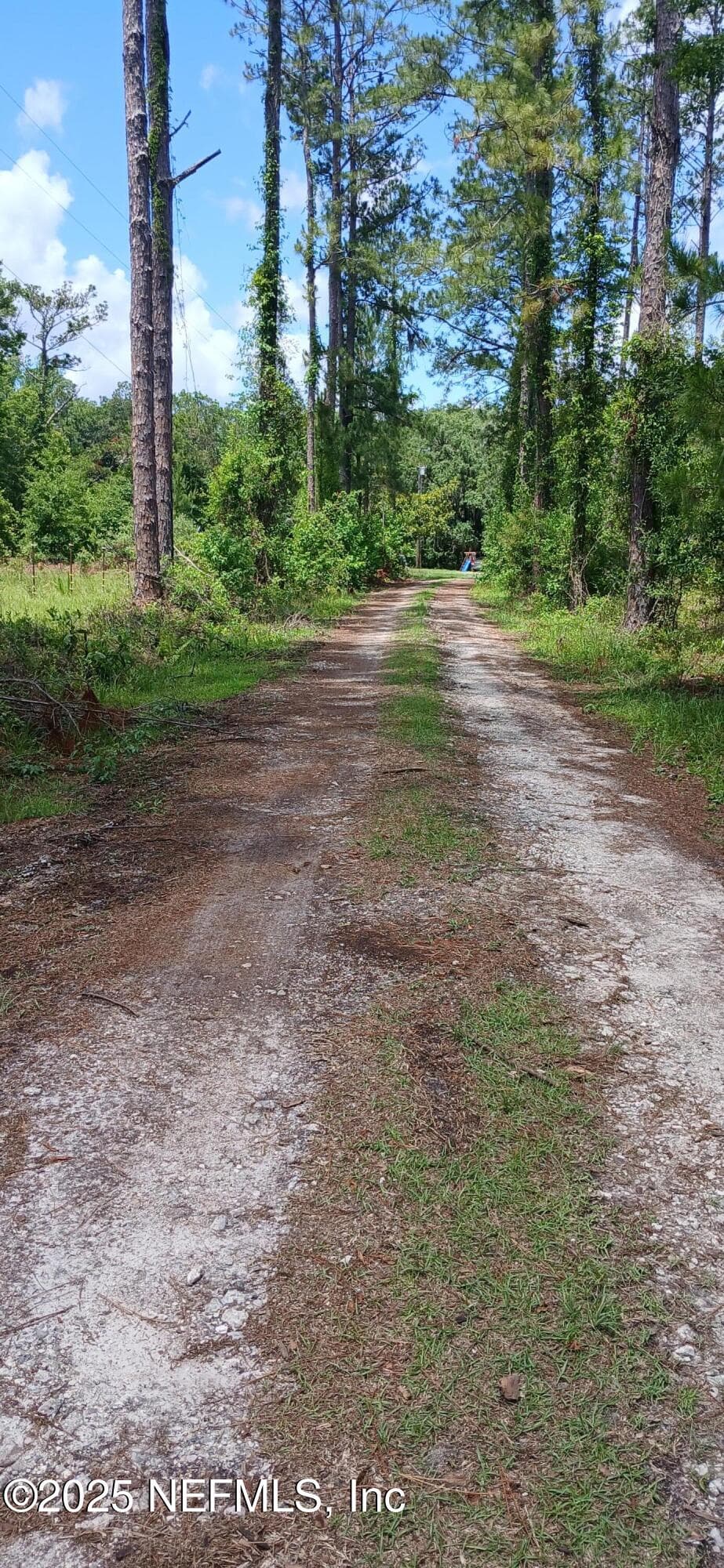 Photo 26 of 2995 THUNDER Road, Middleburg, FL 32068