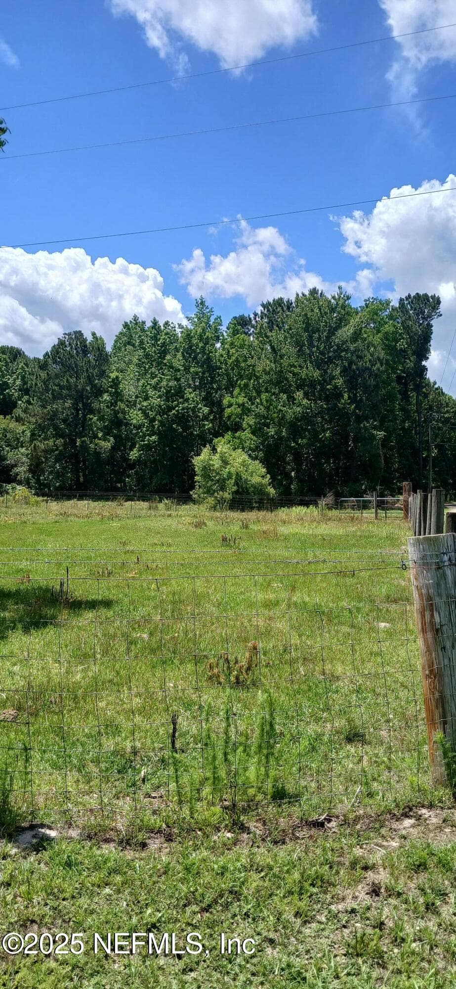 Photo 27 of 2995 THUNDER Road, Middleburg, FL 32068