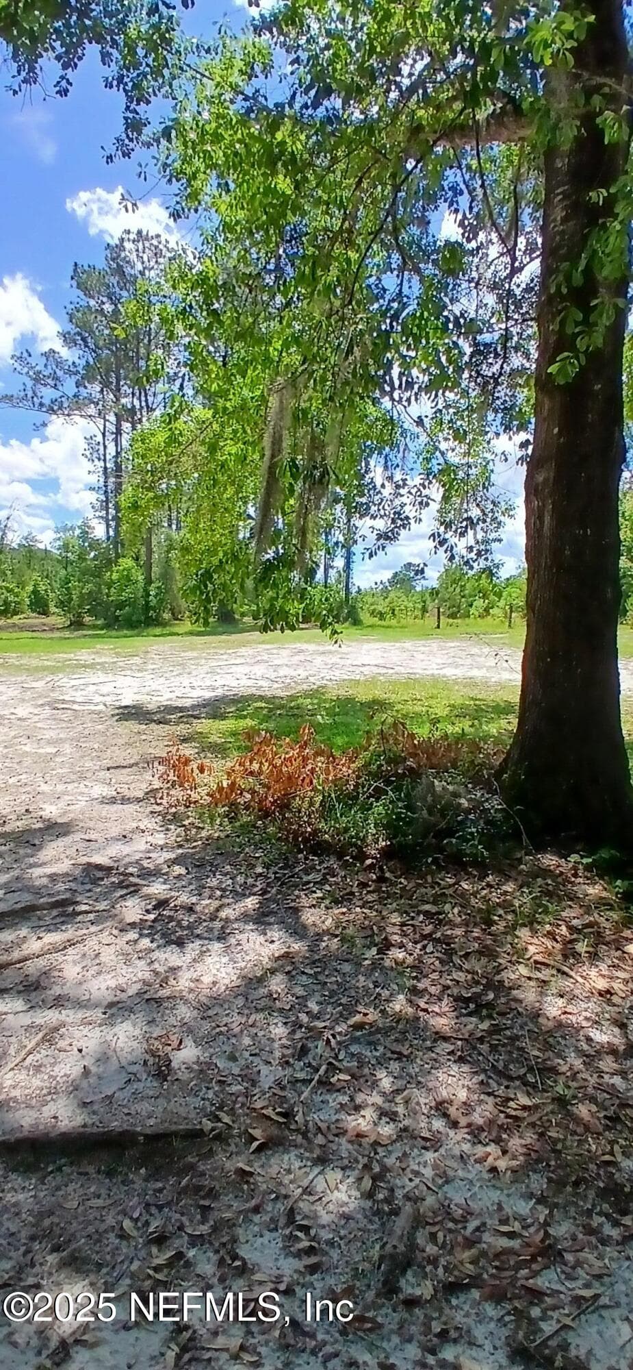 Photo 31 of 2995 THUNDER Road, Middleburg, FL 32068