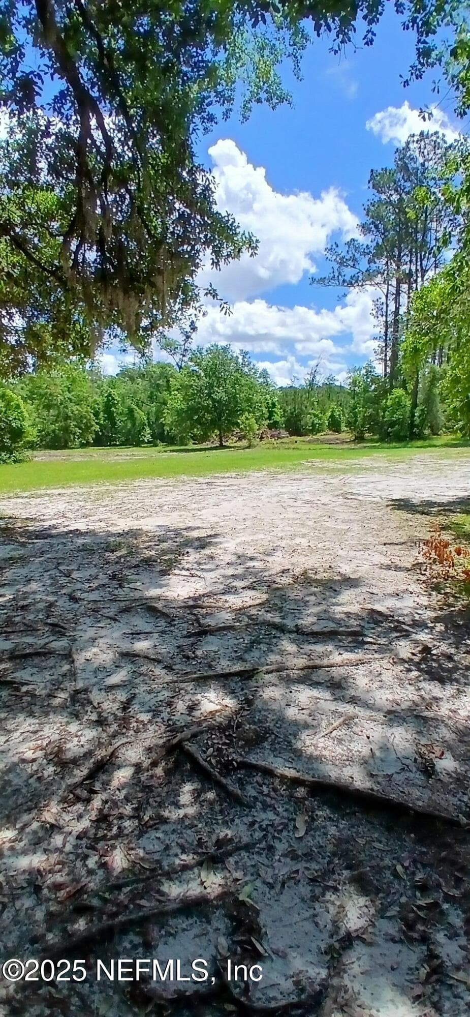 Photo 32 of 2995 THUNDER Road, Middleburg, FL 32068