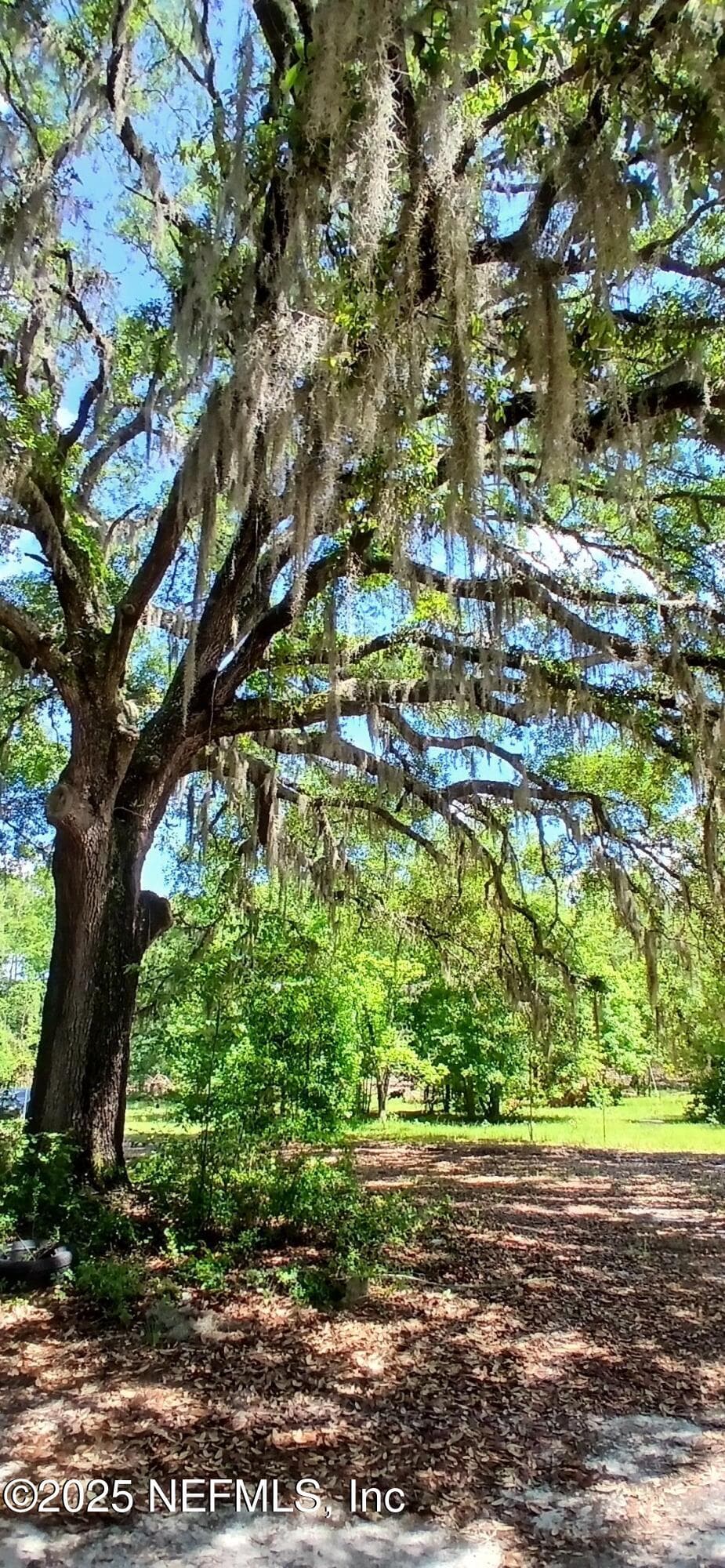 Photo 33 of 2995 THUNDER Road, Middleburg, FL 32068