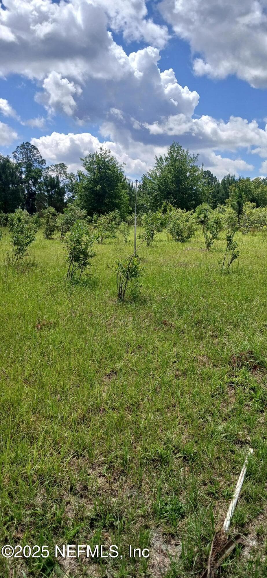 Photo 34 of 2995 THUNDER Road, Middleburg, FL 32068