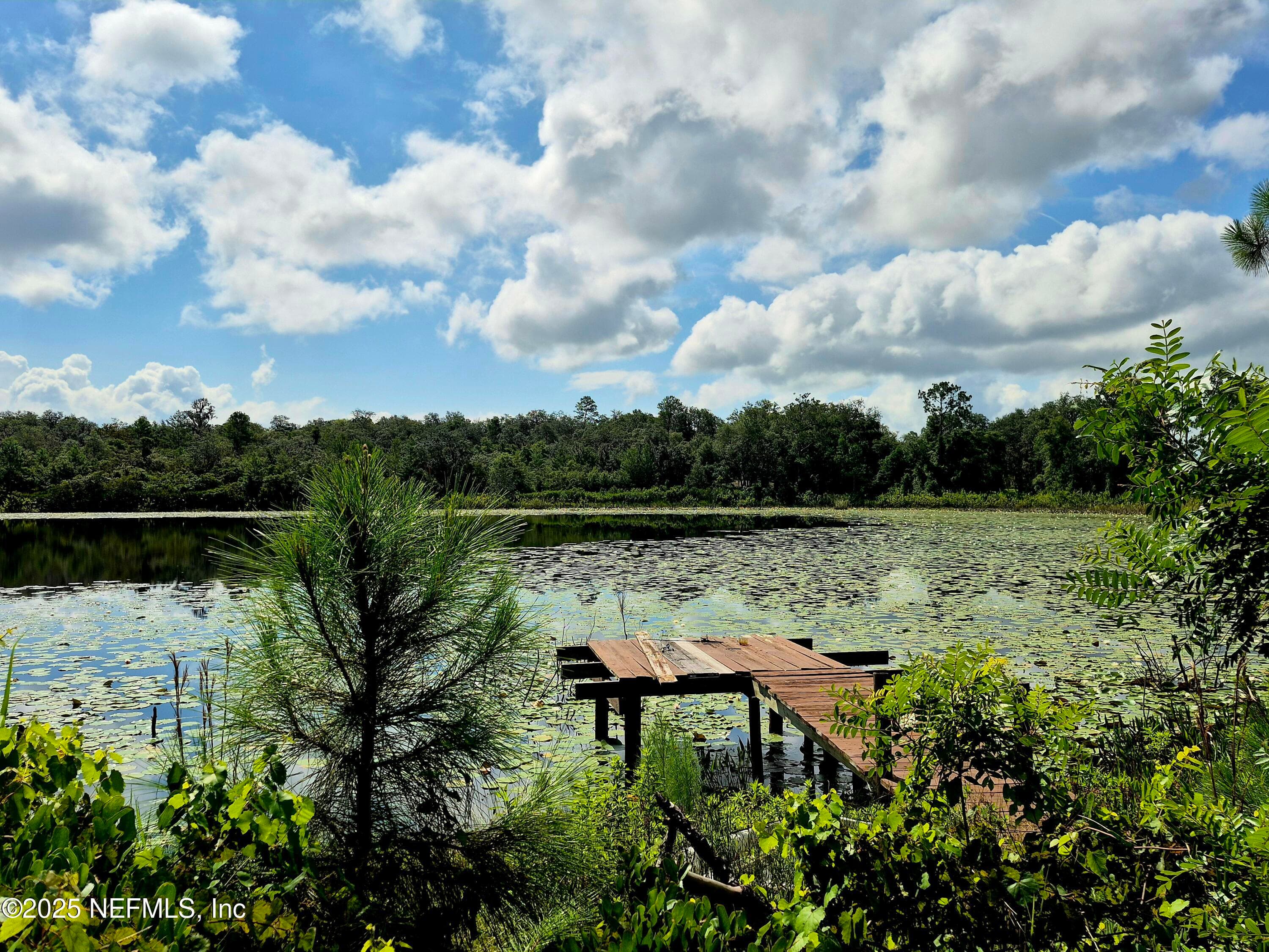 Photo 3 of 282 BYRD Road, Crescent City, FL 32112