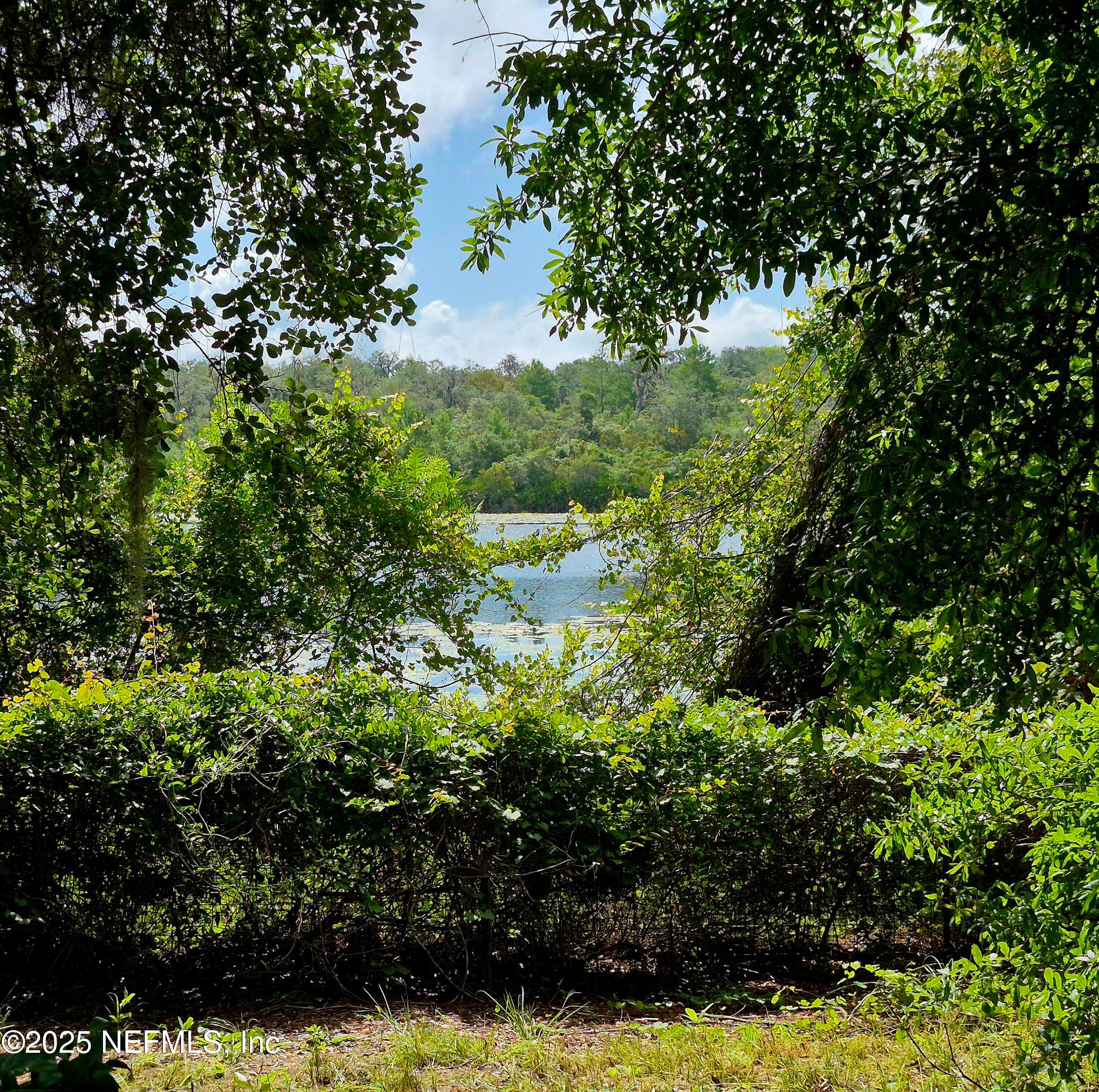 Photo 21 of 282 BYRD Road, Crescent City, FL 32112