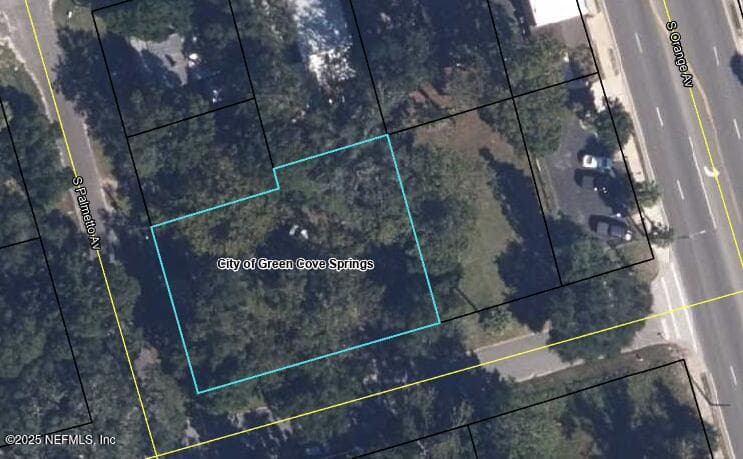 Photo 17 of 314 PALMETTO Avenue, Green Cove Springs, FL 32043