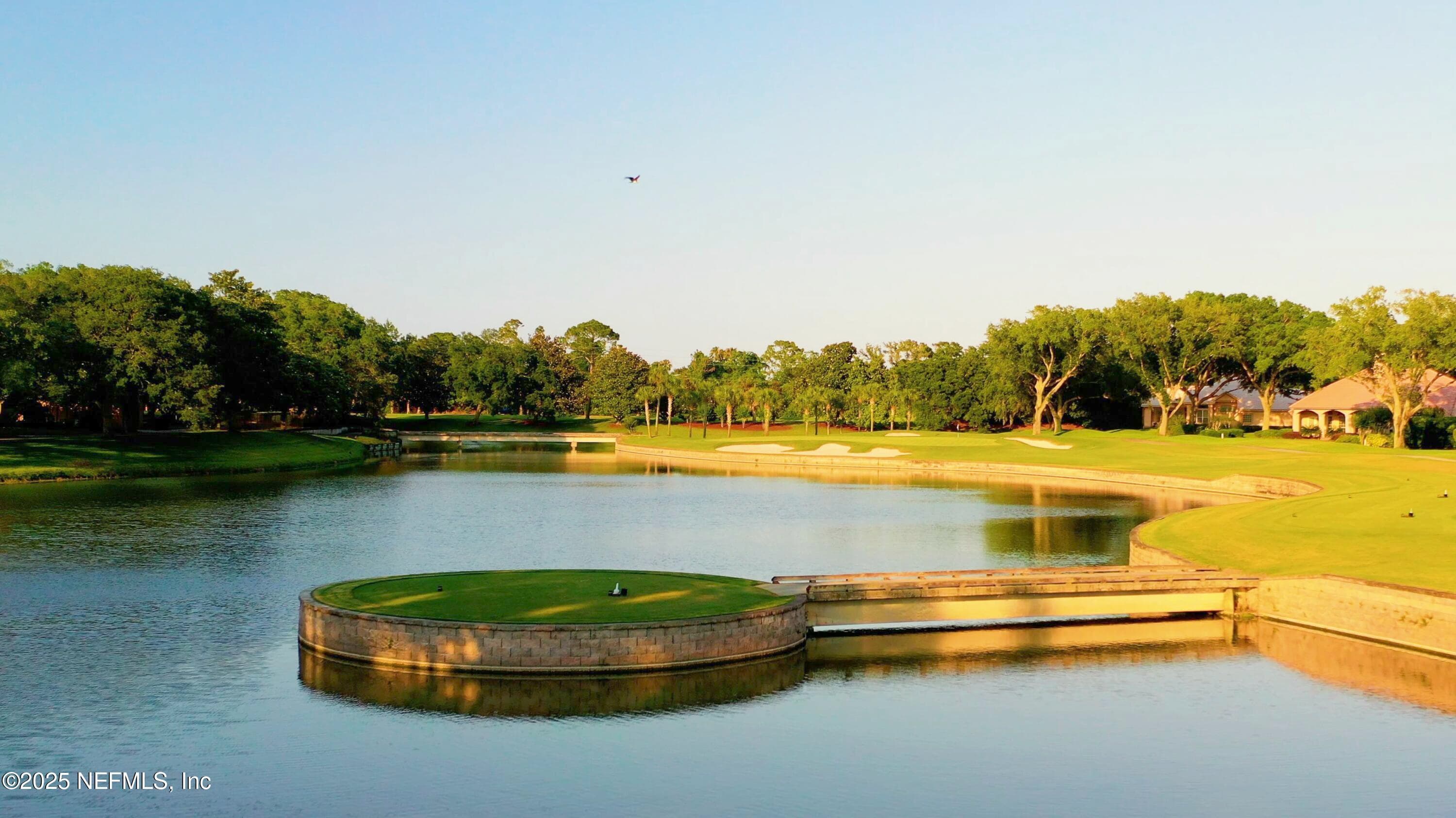 Photo 97 of 105 MIDDLETON Place, Ponte Vedra Beach, FL 32082