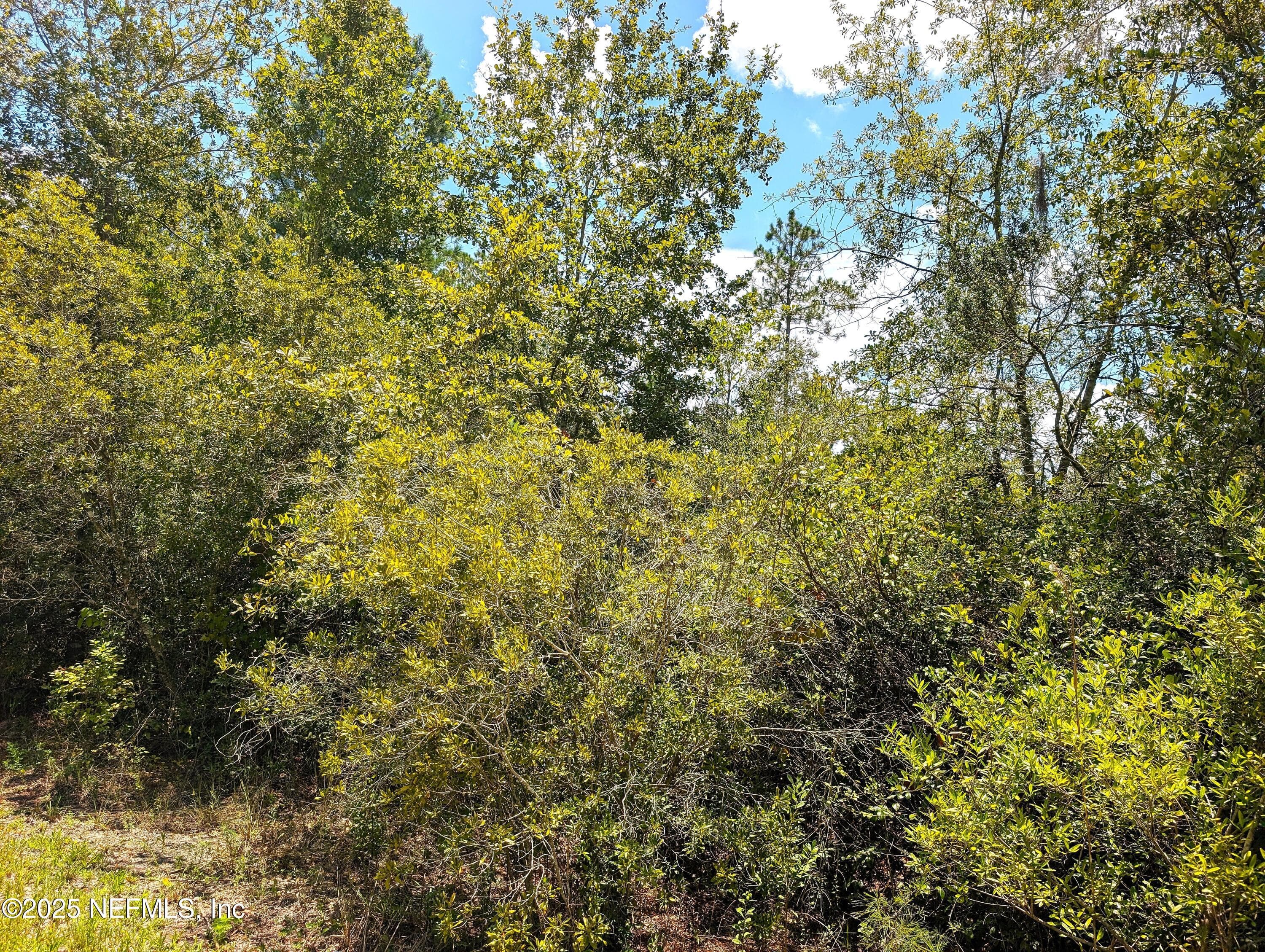 0 SE 92ND Street, Starke, FL 32091
