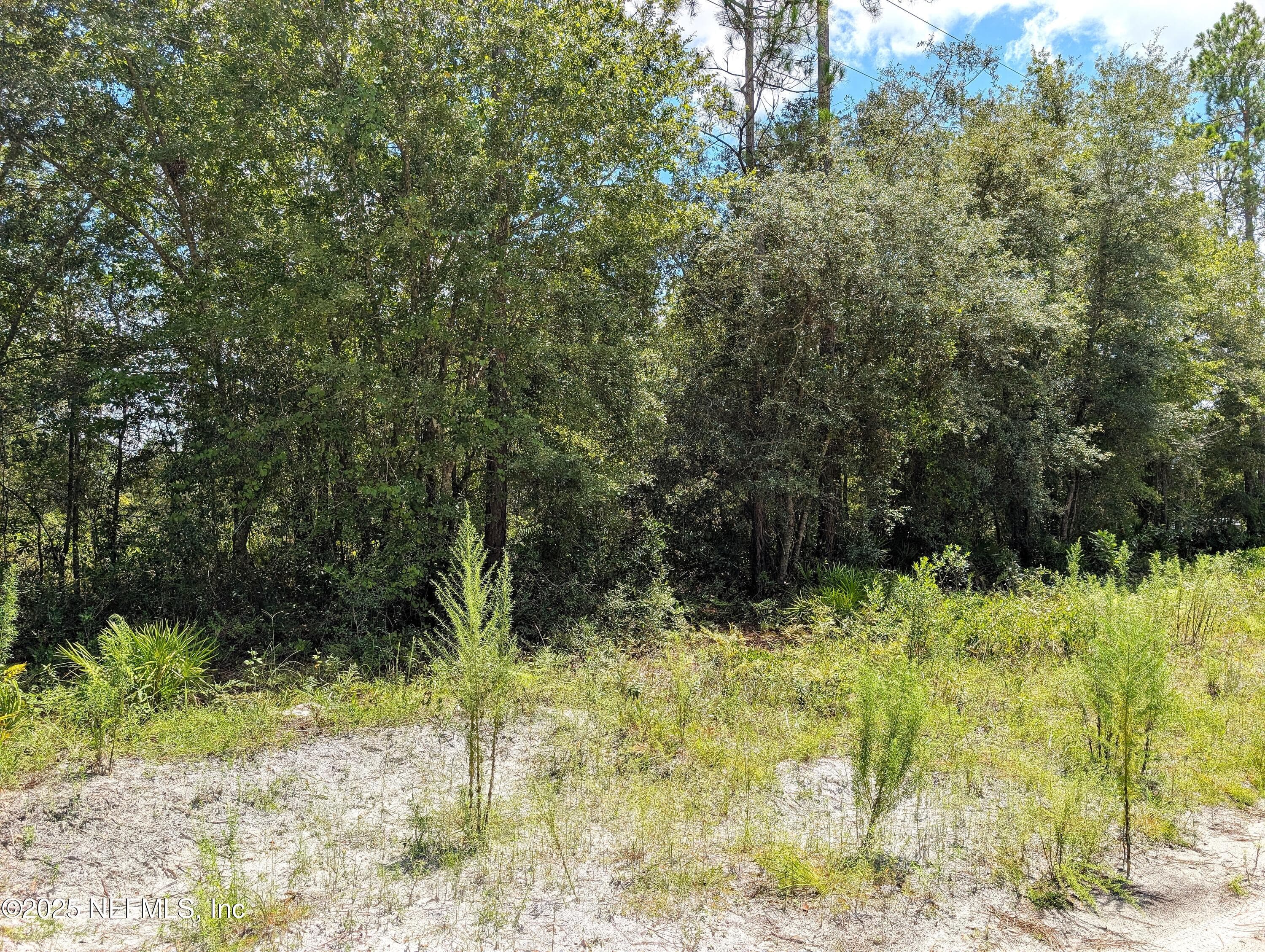 Photo 3 of 0 SE 48TH Lane, Starke, FL 32091