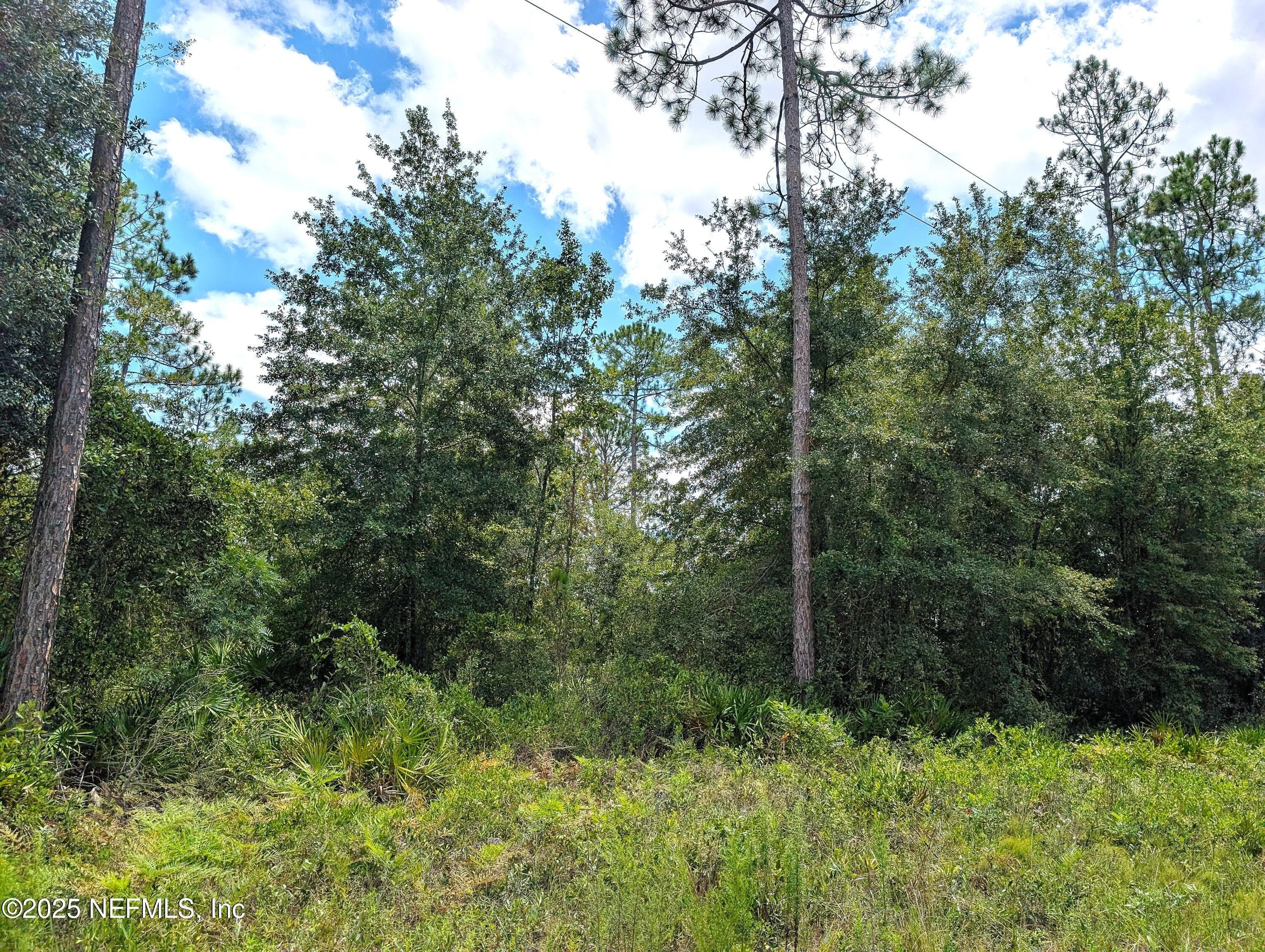 Photo 4 of 0 SE 48TH Lane, Starke, FL 32091