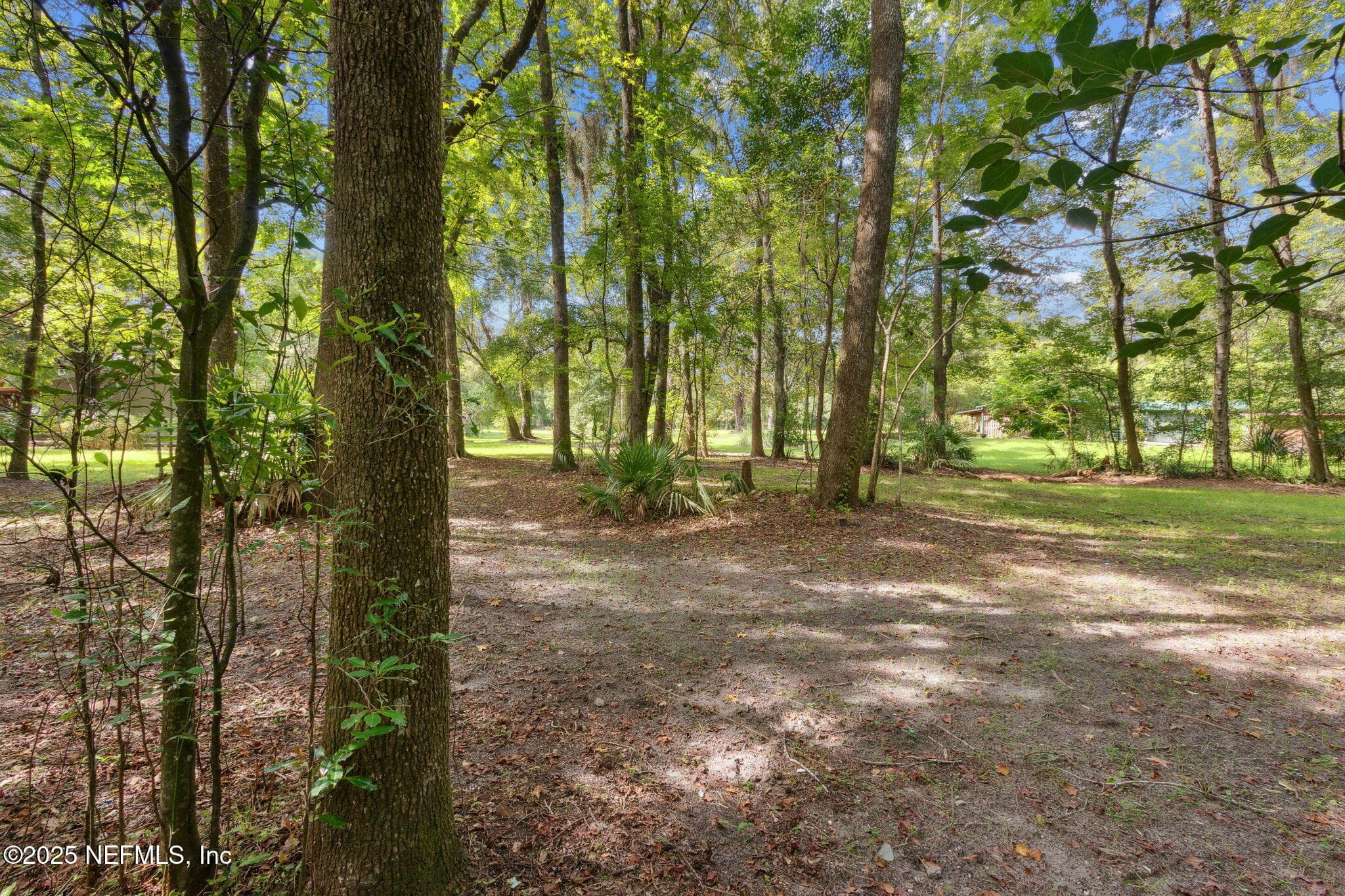Photo 6 of 0 MONCRIEF-DINSMORE Road, Jacksonville, FL 32219