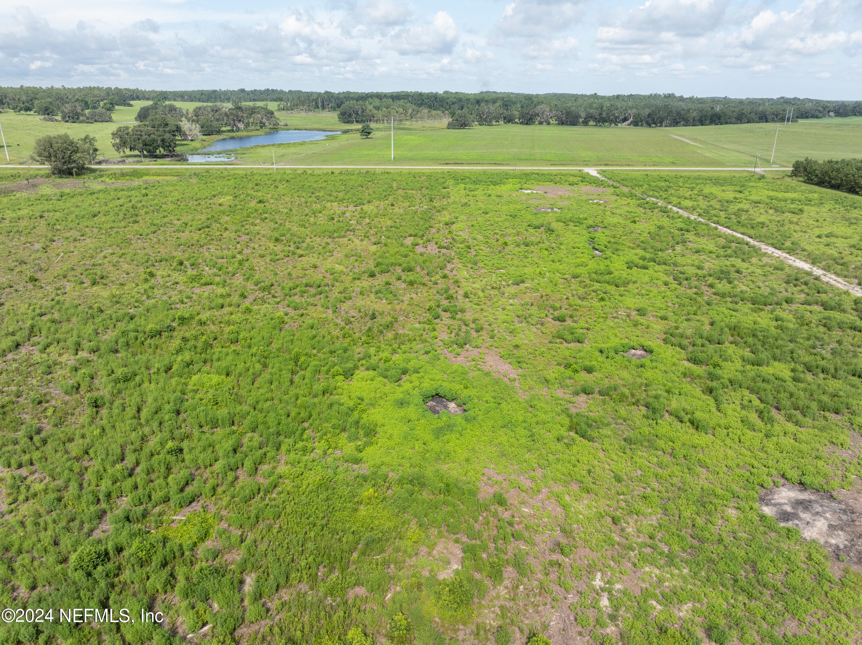 Looking to Rocky Ford Rd — 3600 NE ROCKY FORD Road, Madison, FL 32340