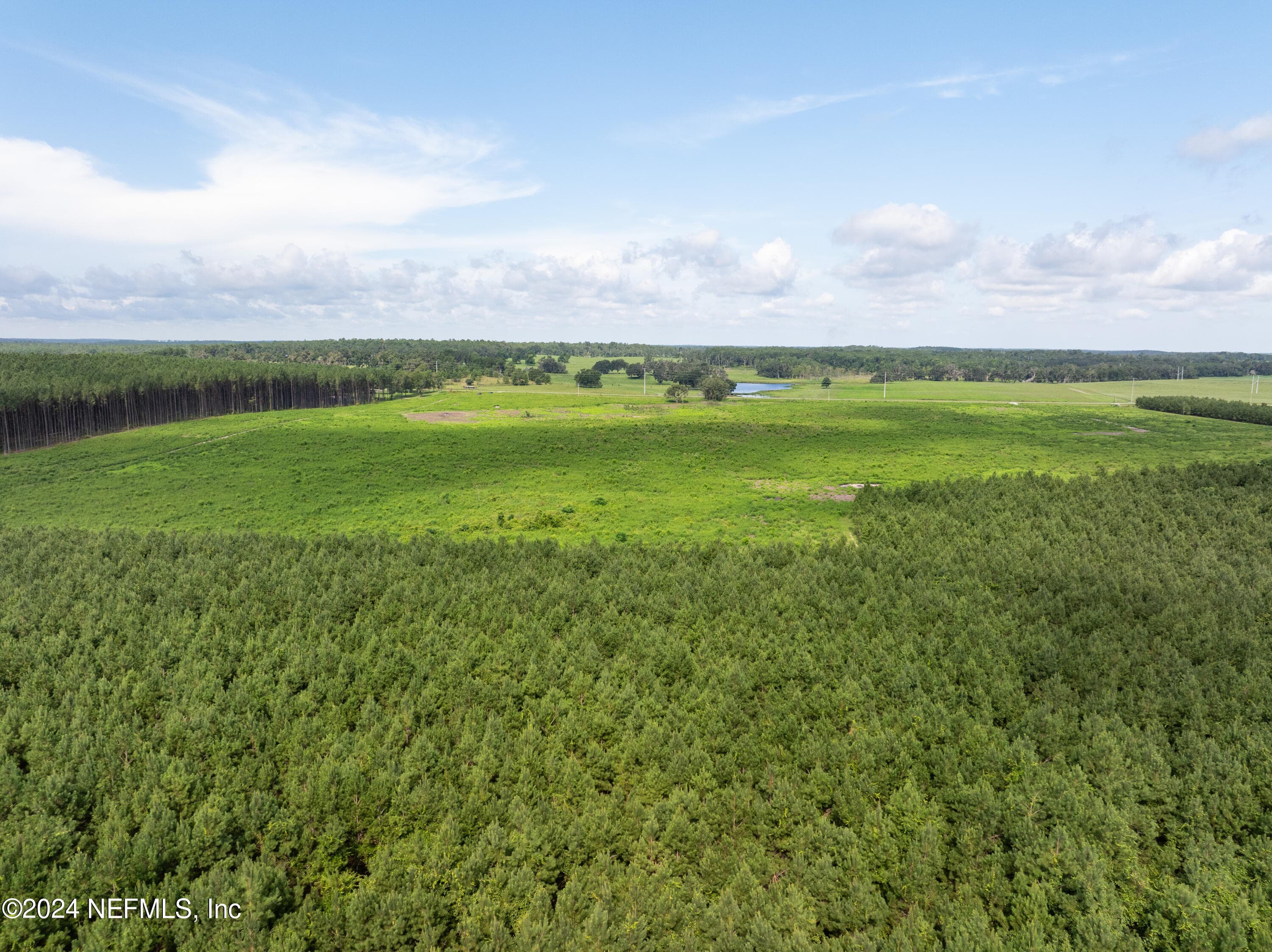 Photo 7 of 3600 NE ROCKY FORD Road, Madison, FL 32340