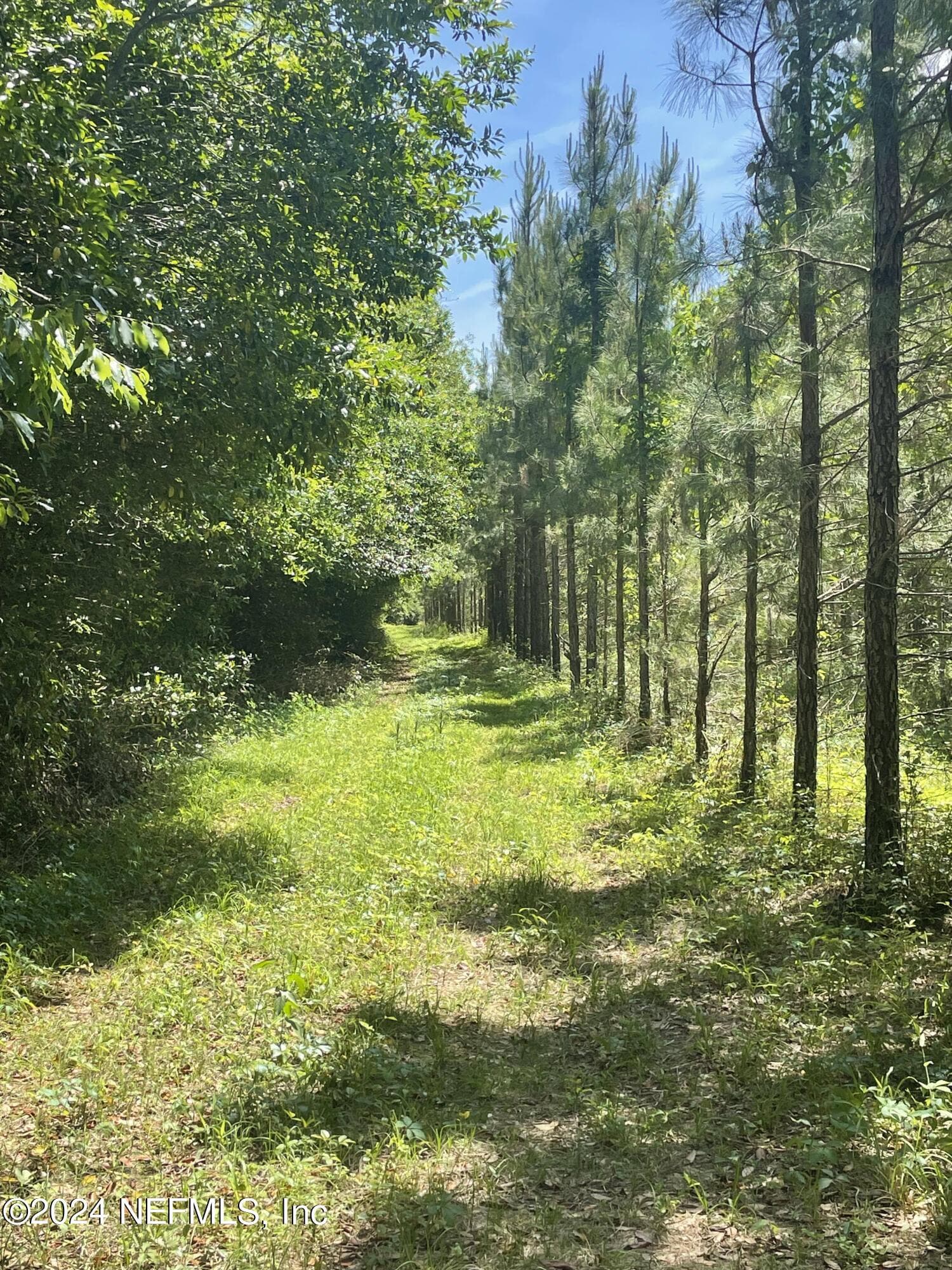 Photo 9 of 3600 NE ROCKY FORD Road, Madison, FL 32340