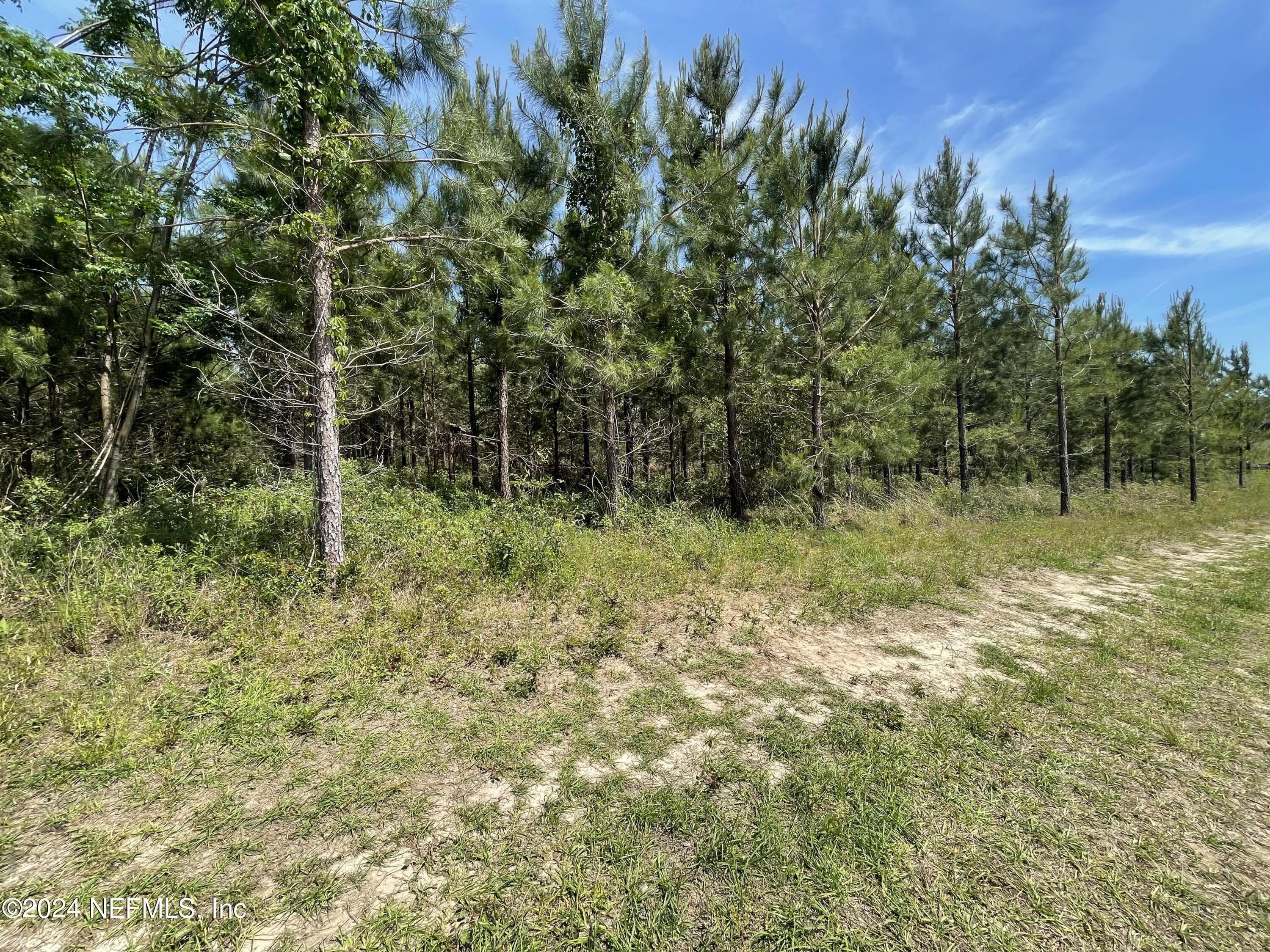 Photo 10 of 3600 NE ROCKY FORD Road, Madison, FL 32340
