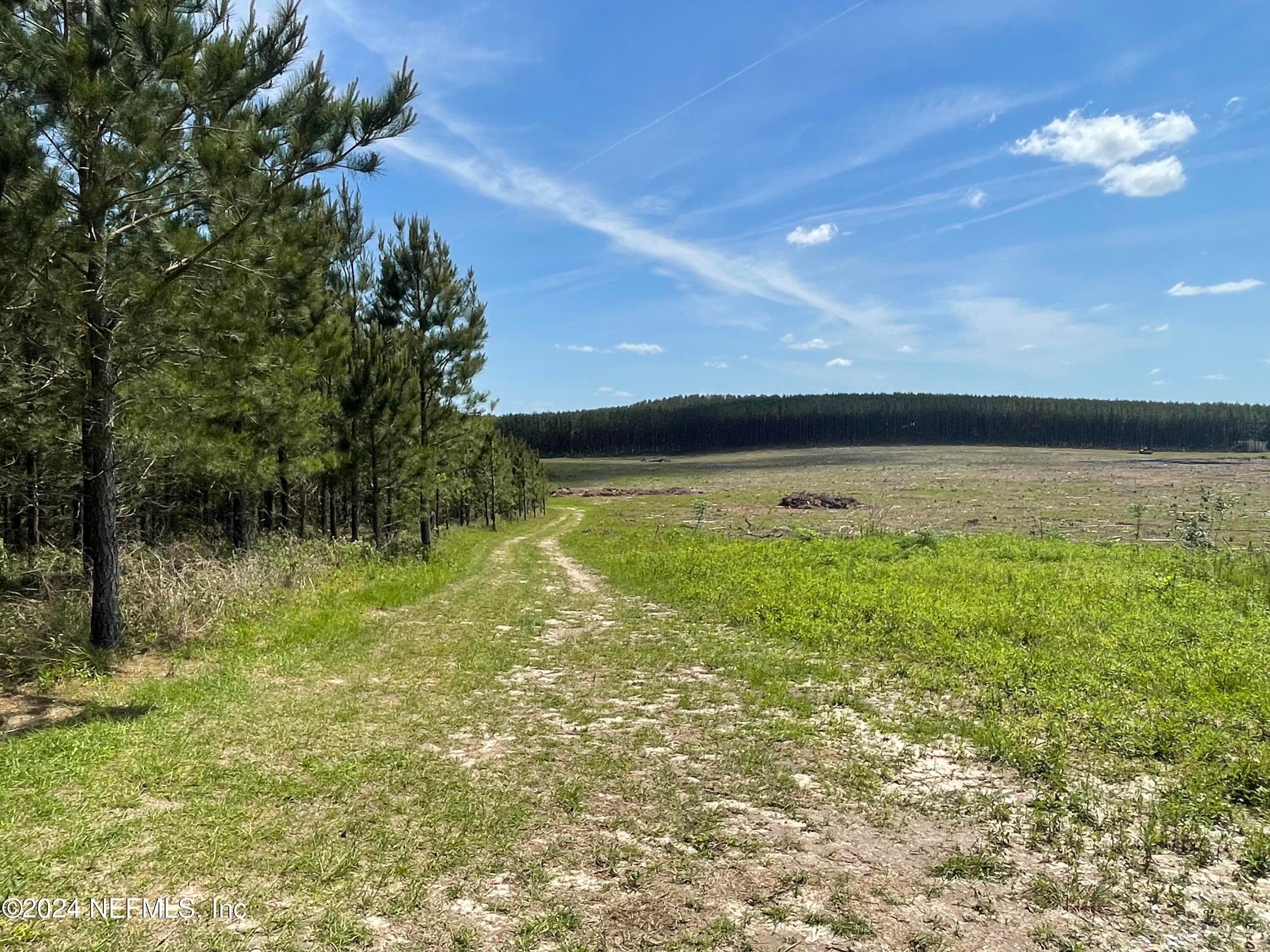Photo 11 of 3600 NE ROCKY FORD Road, Madison, FL 32340