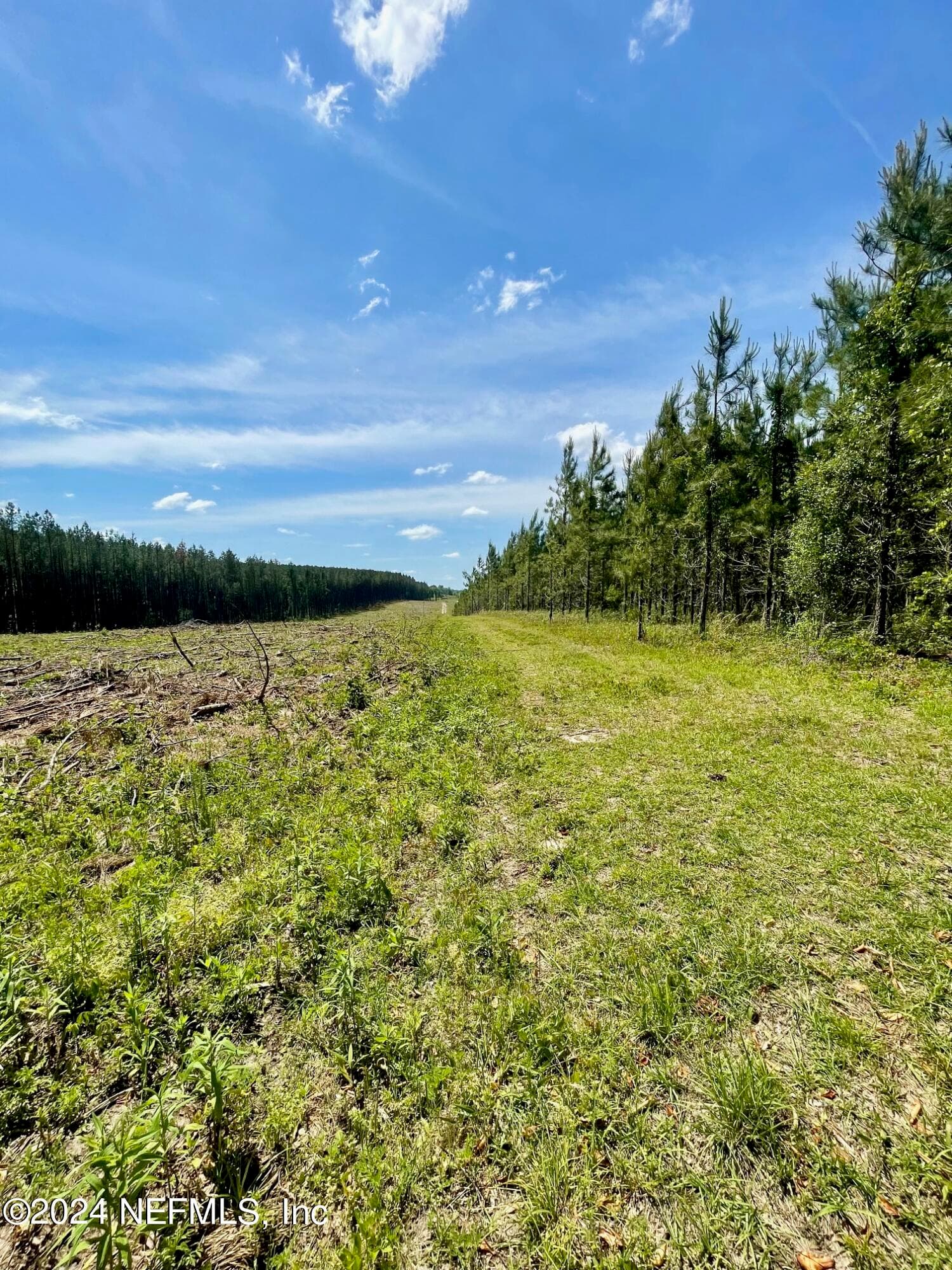 Photo 9 of 3500 NE ROCKY FORD Road, Madison, FL 32340