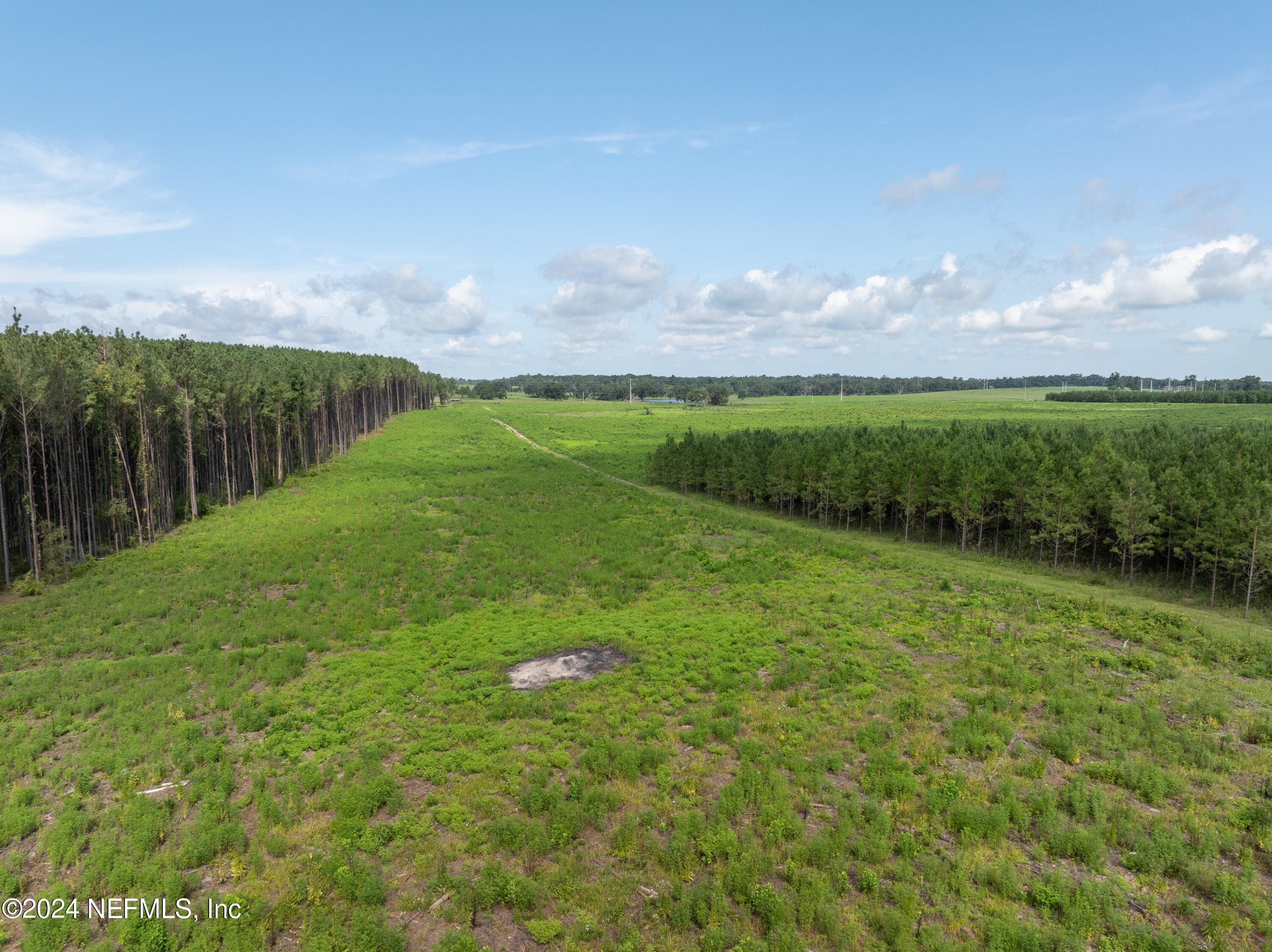 Photo 11 of 3500 NE ROCKY FORD Road, Madison, FL 32340