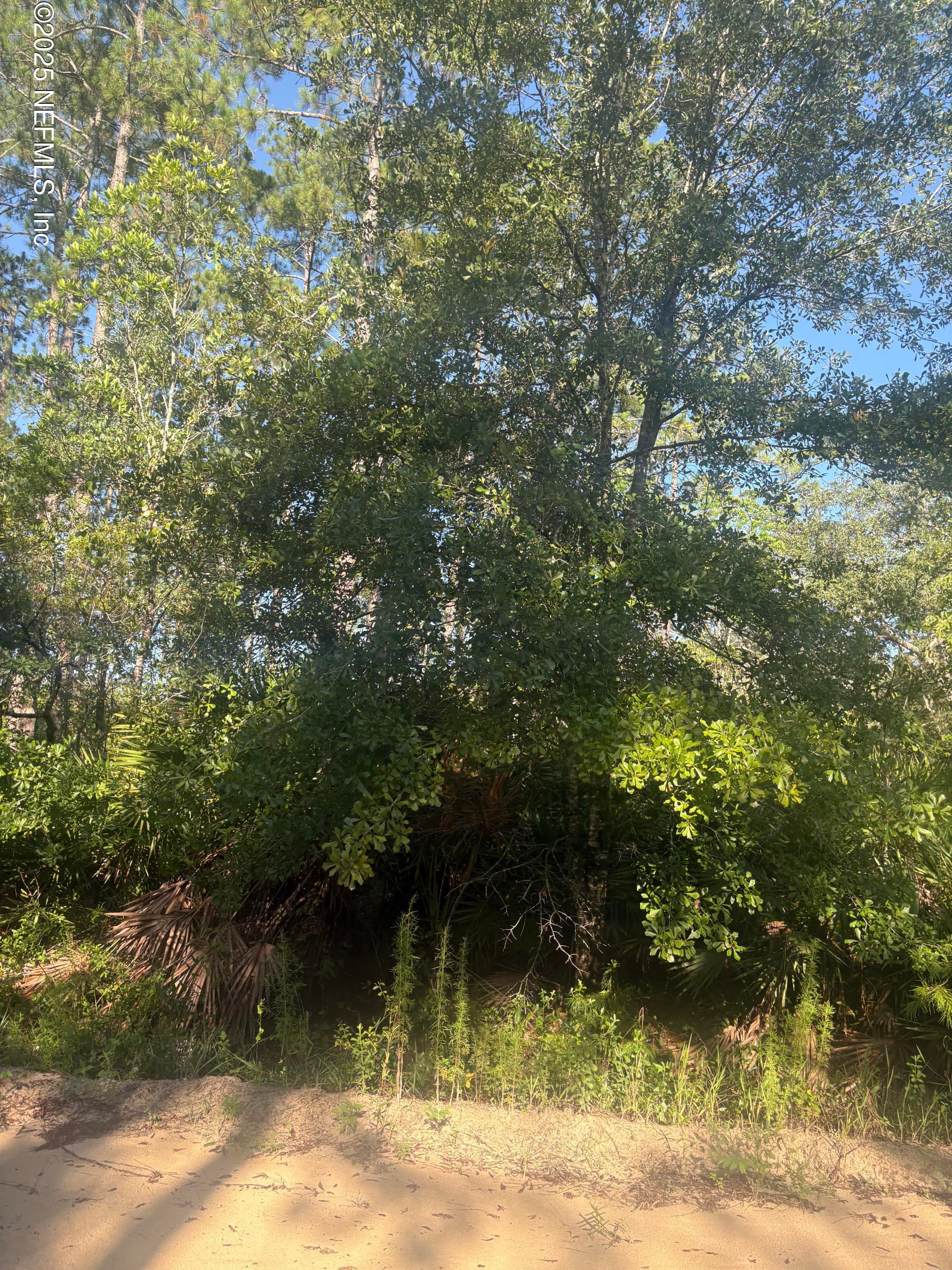 0030 EVANS, Interlachen, FL 32148